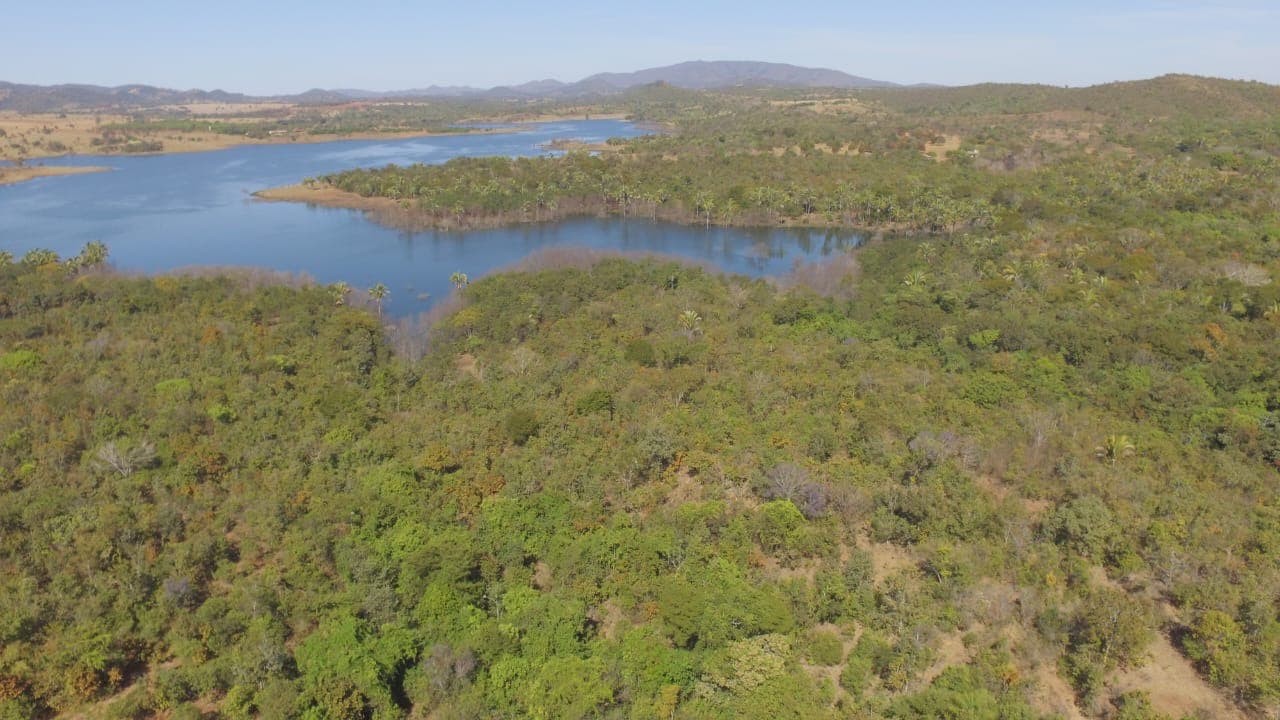 Paraíso à Venda: Fazenda de 27 Alqueires com Extensa Margem no Rio Serra da Mesa.Localizada  em Niquelandia Goiás.