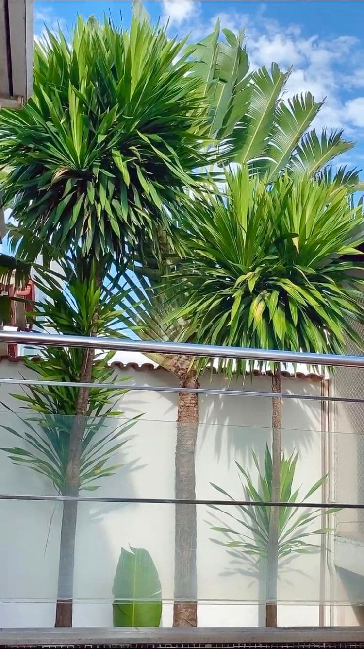 Sobrado Alto Padrão - Nova Suíça 394m²