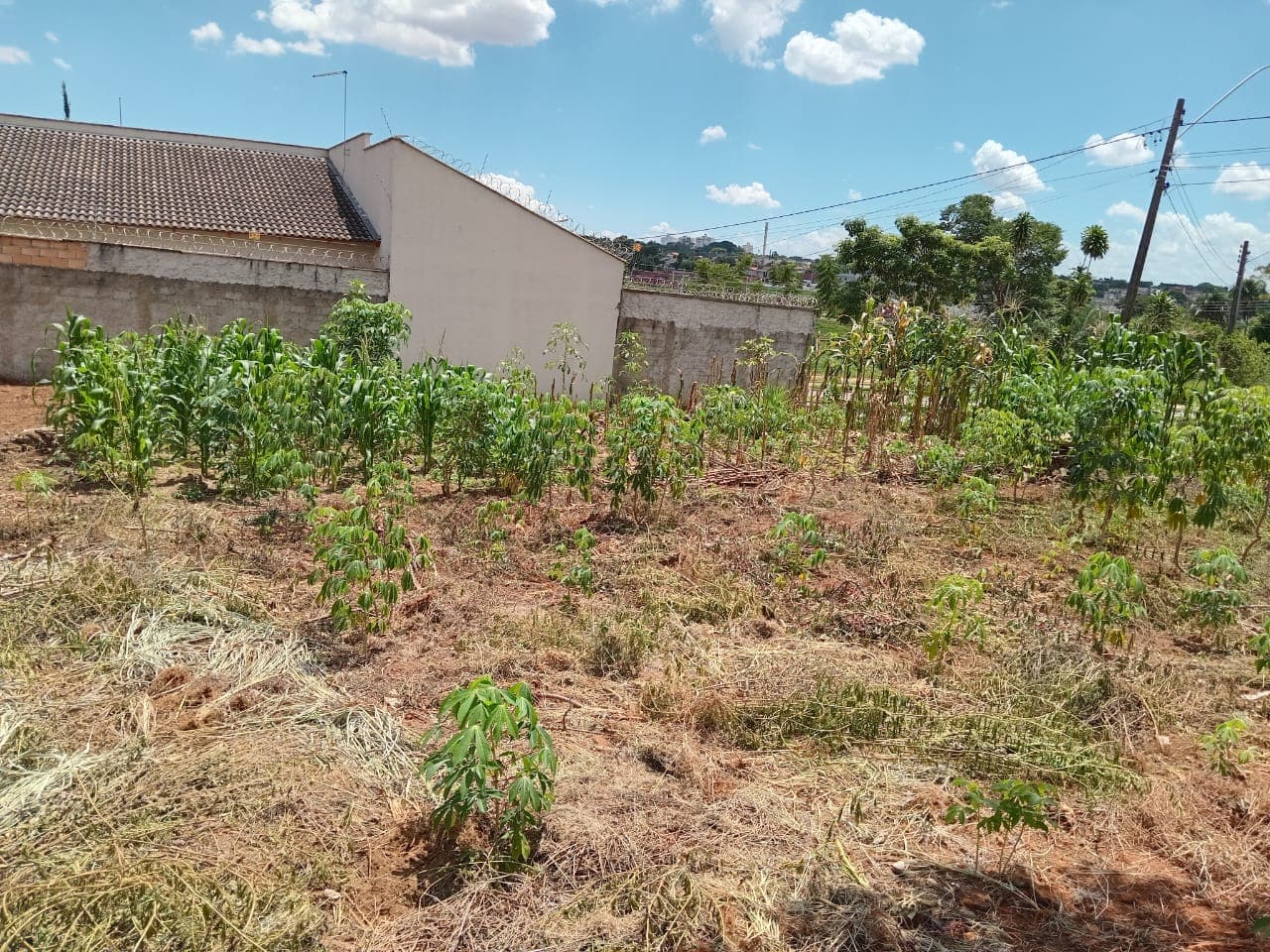 Lote Residencial Cidade Verde 307m²