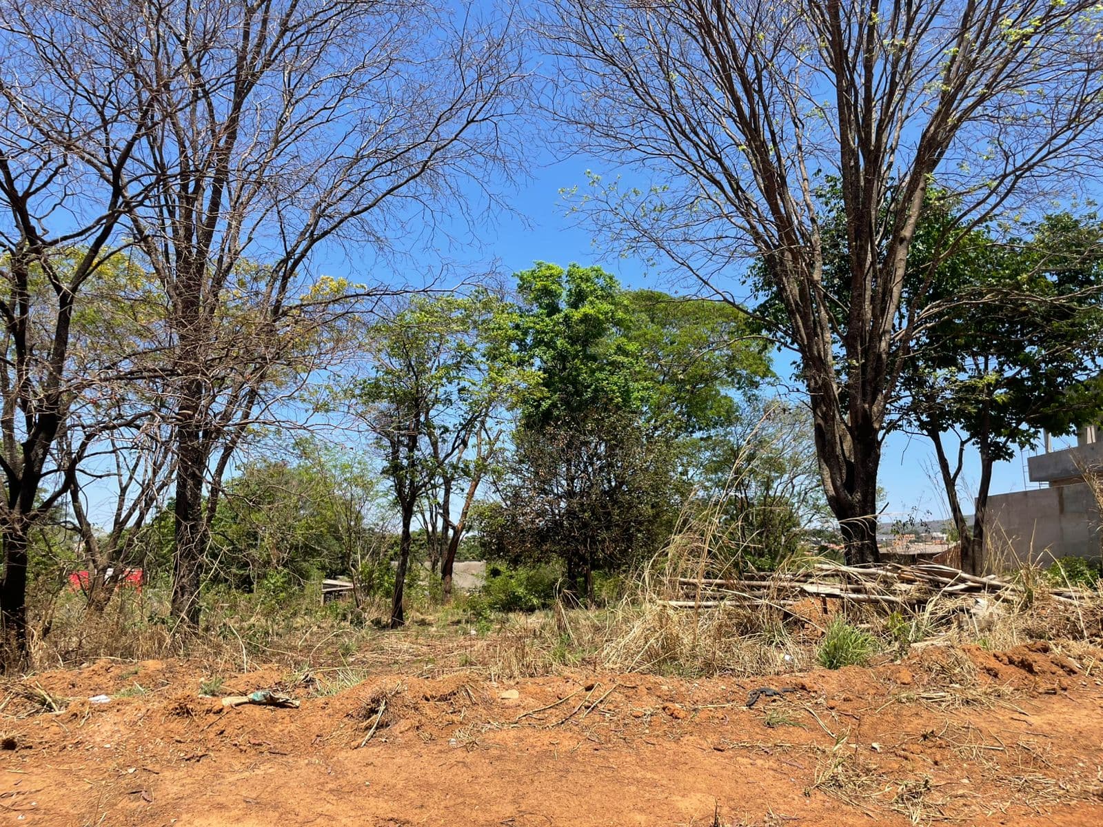 Lote no Buriti Sereno 443m²