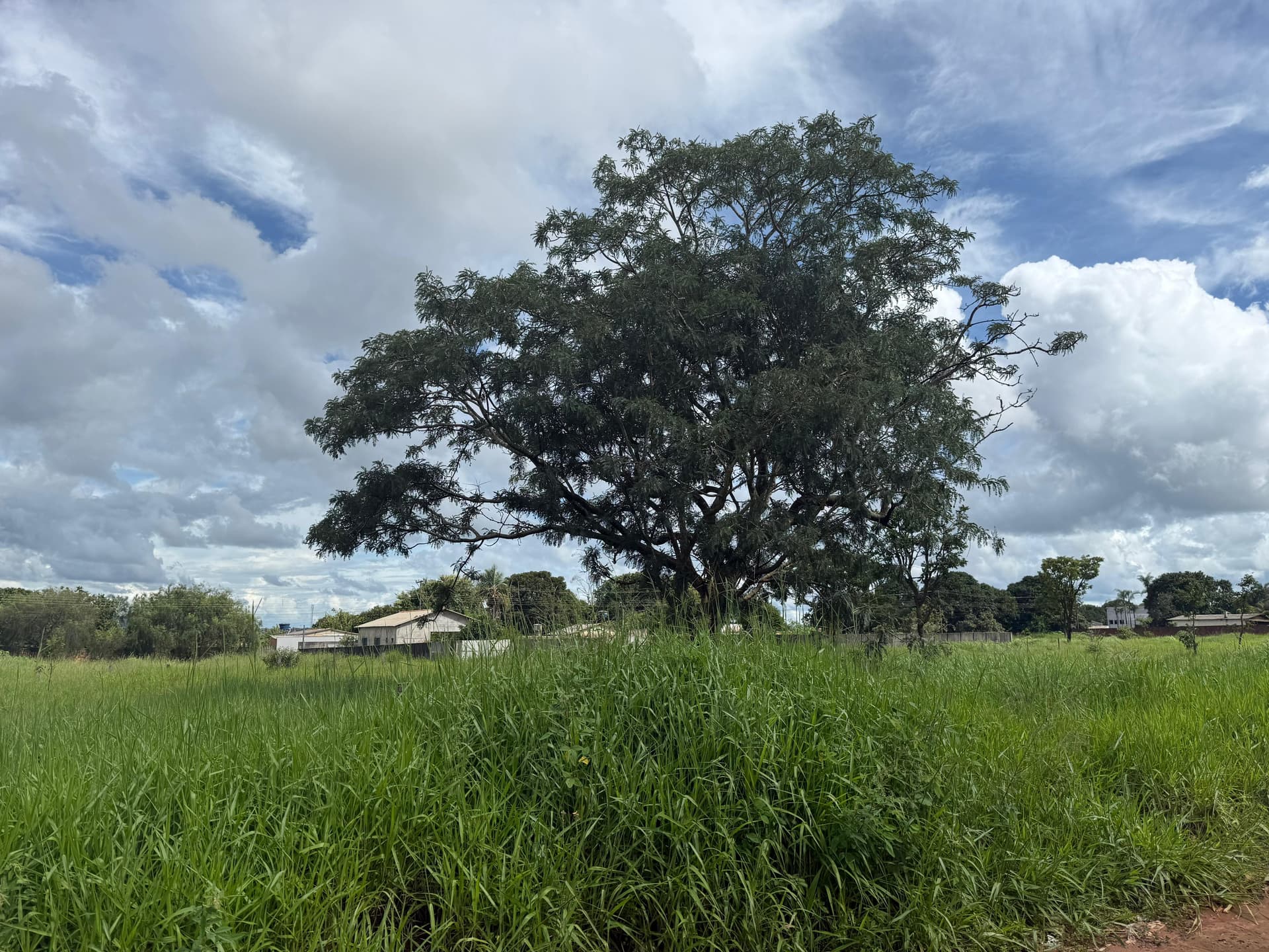 Lote Setor Andreia Madre Germana 3.000 m²