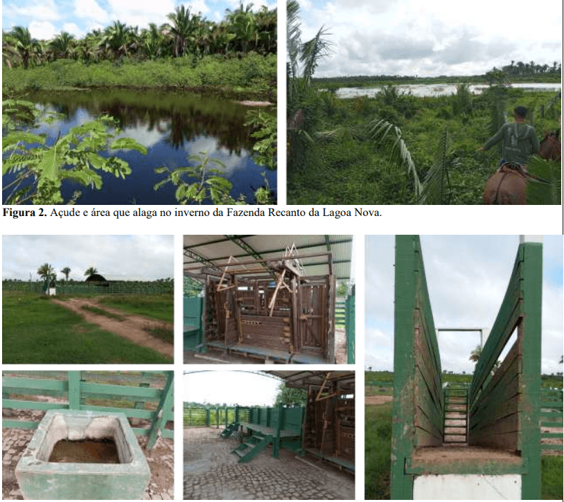Fazenda Recanto da Lagoa Nova 21.728.700m²