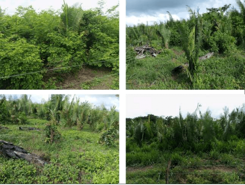 Fazenda Recanto da Lagoa Nova 21.728.700m²
