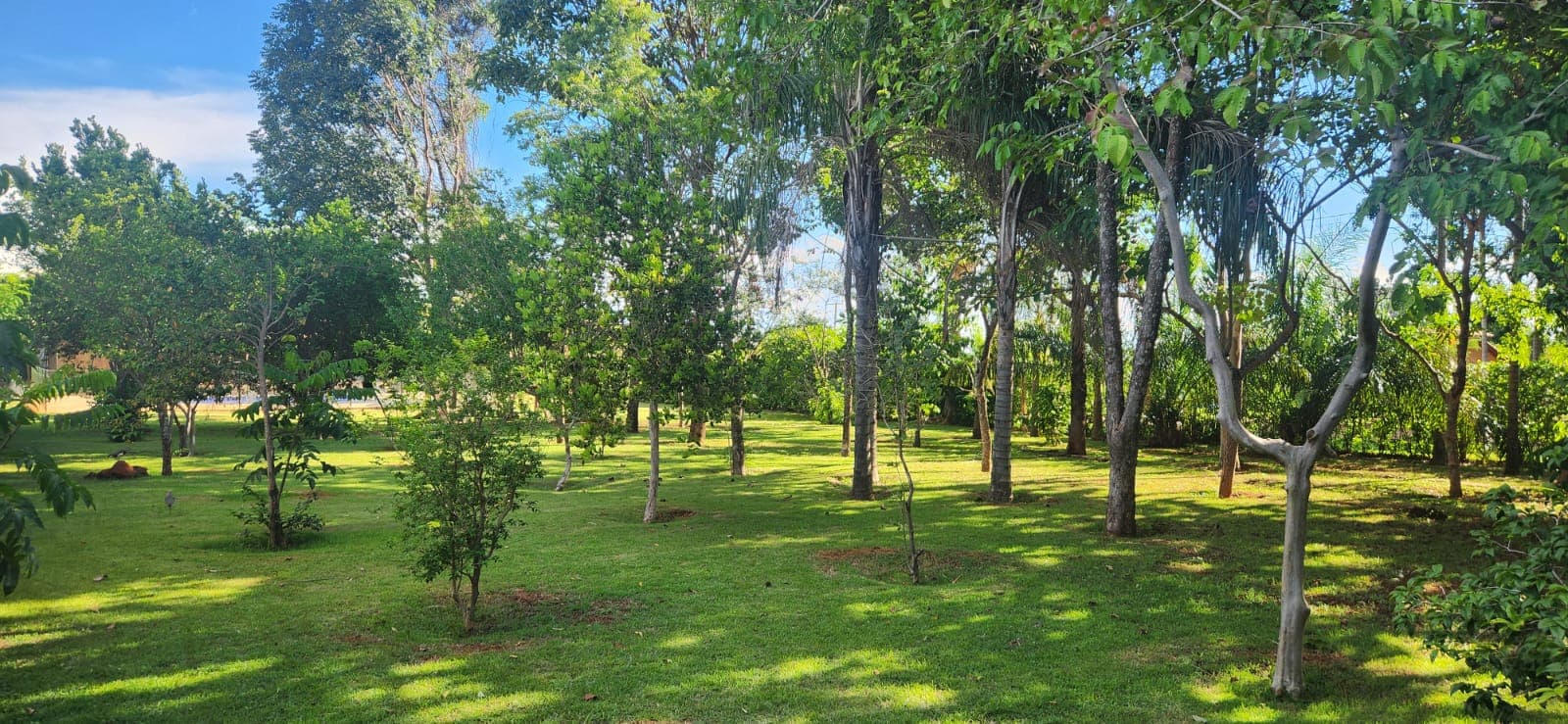 Chácara Recanto D'Itália 2.247m²