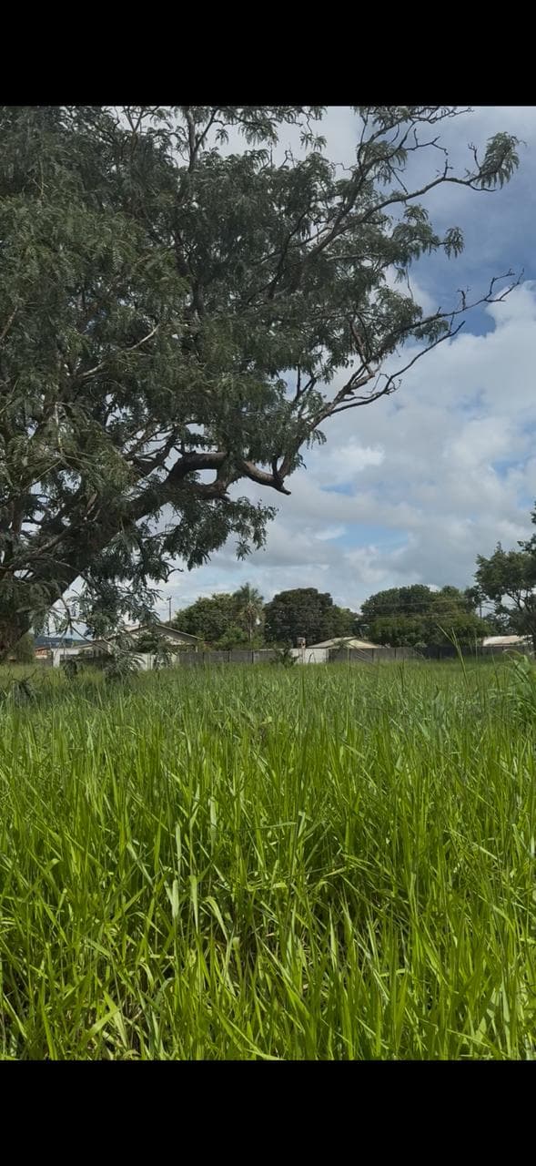 Lote Setor Andreia Madre Germana 3.000 m²