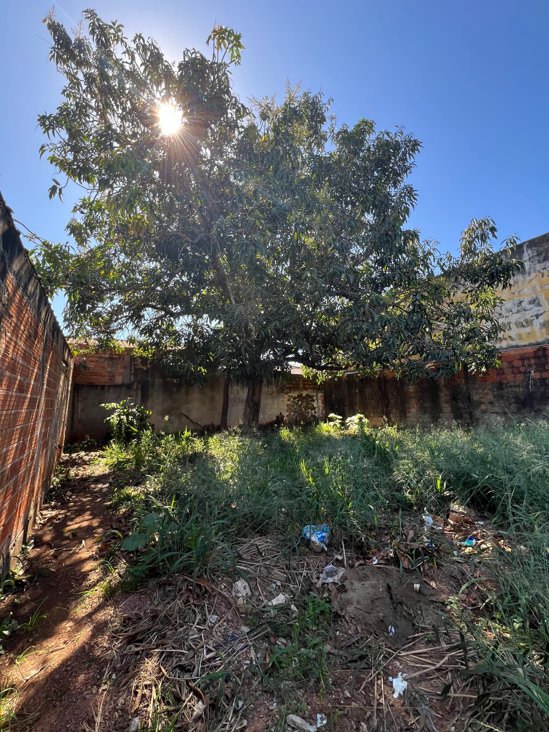 Lote Veiga jardim