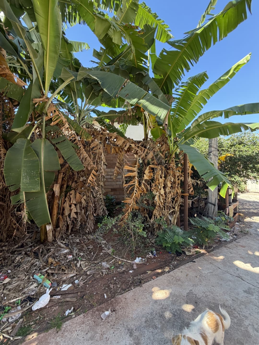 Terreno de no Jardim América |  453,60 m²