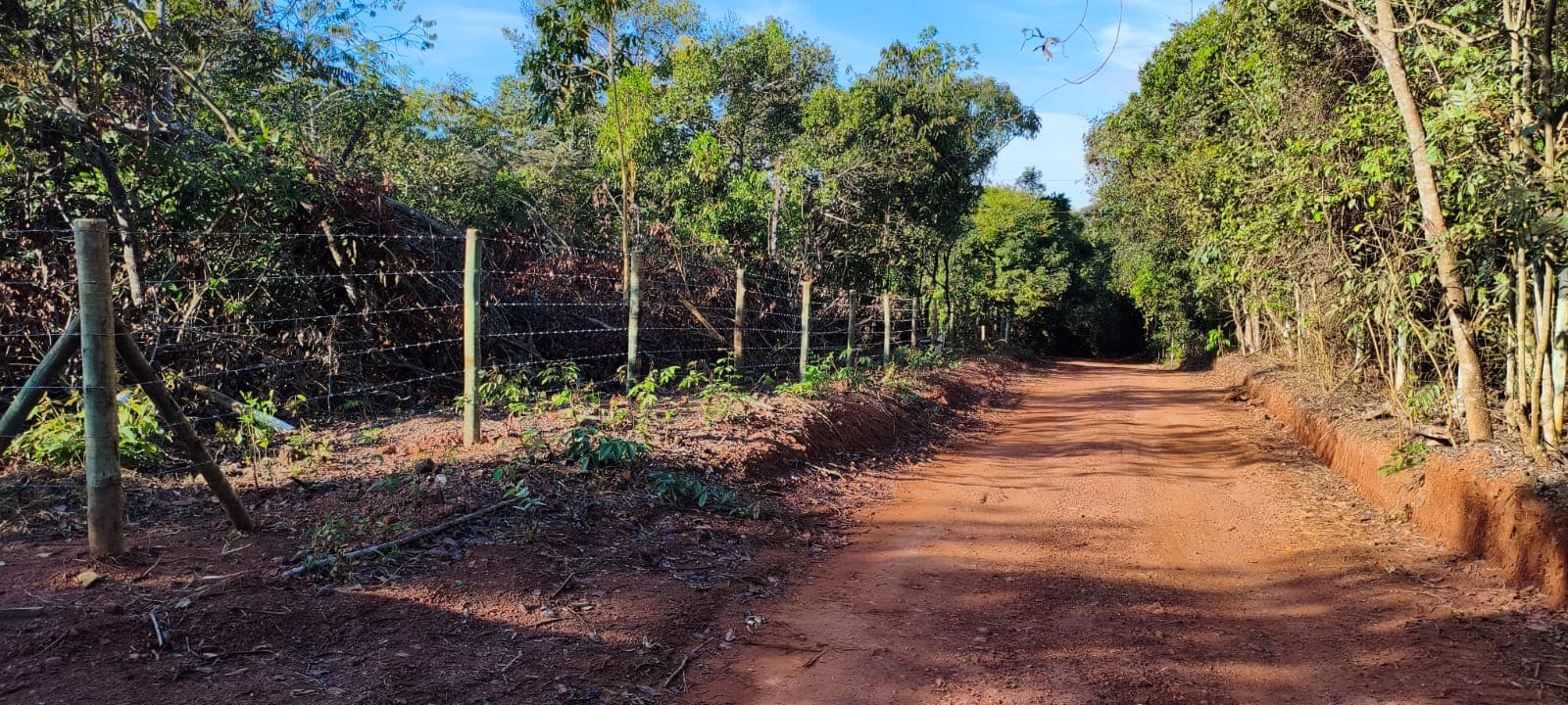 Terreno em Bela Vista de Goiás 22000,00m²