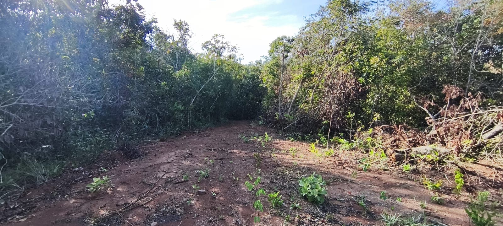 Terreno em Bela Vista de Goiás 22000,00m²