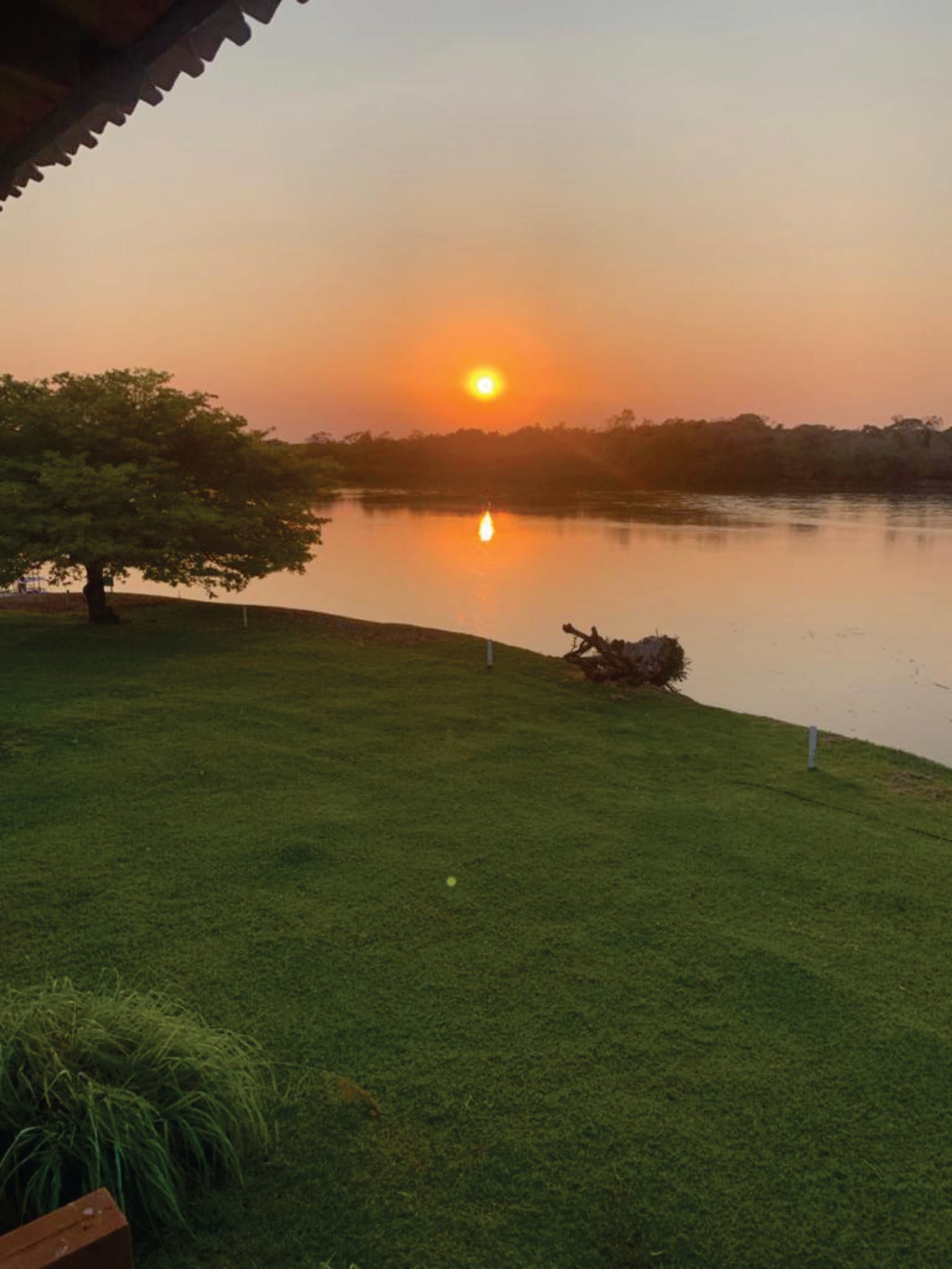 Fazenda com 12.145 ha para Gado , Pecuária região estratégica  no estado de Mato Grosso divisa com estados de Goiás e Tocantins