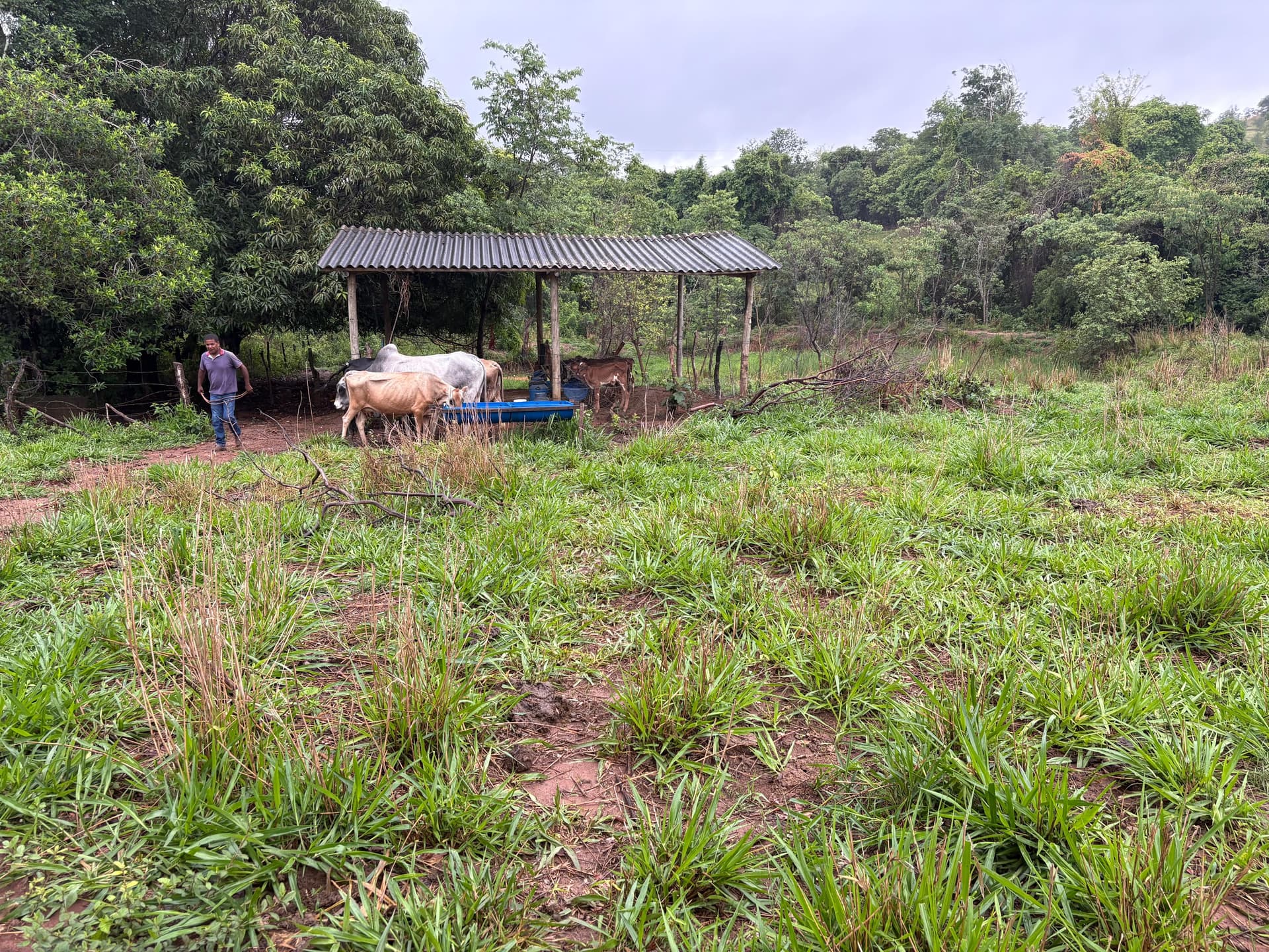 Chácara em Bela Vista de Goiás - 42.000 m²