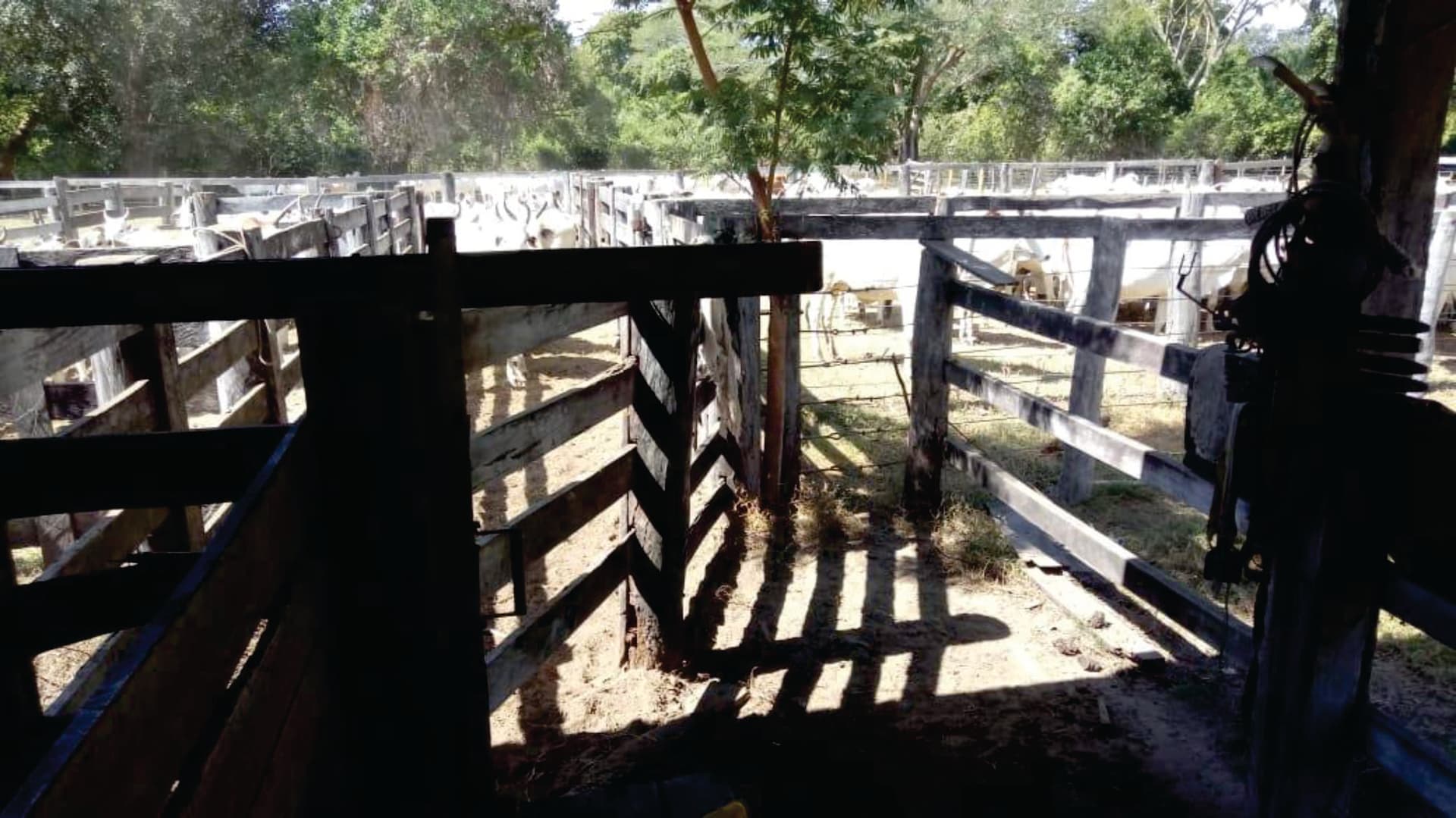 Fazenda para pecuária em Cocalinho Mato Grosso com 9.721ha divisa com GO e TO
