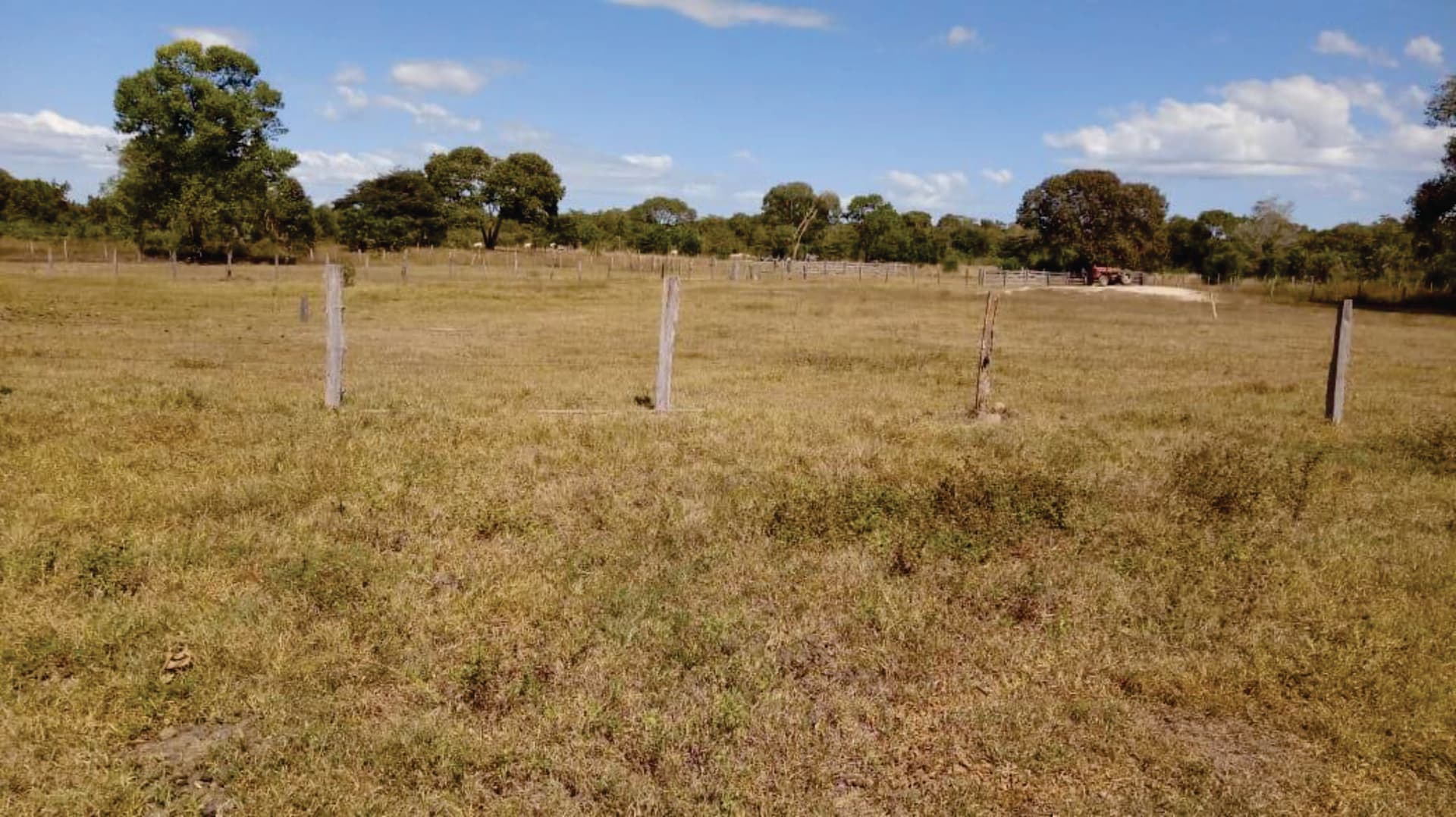Fazenda para pecuária em Cocalinho Mato Grosso com 9.721ha divisa com GO e TO