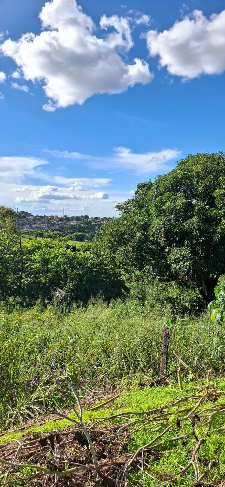 Área no Jardim Novo Mundo 2199m²