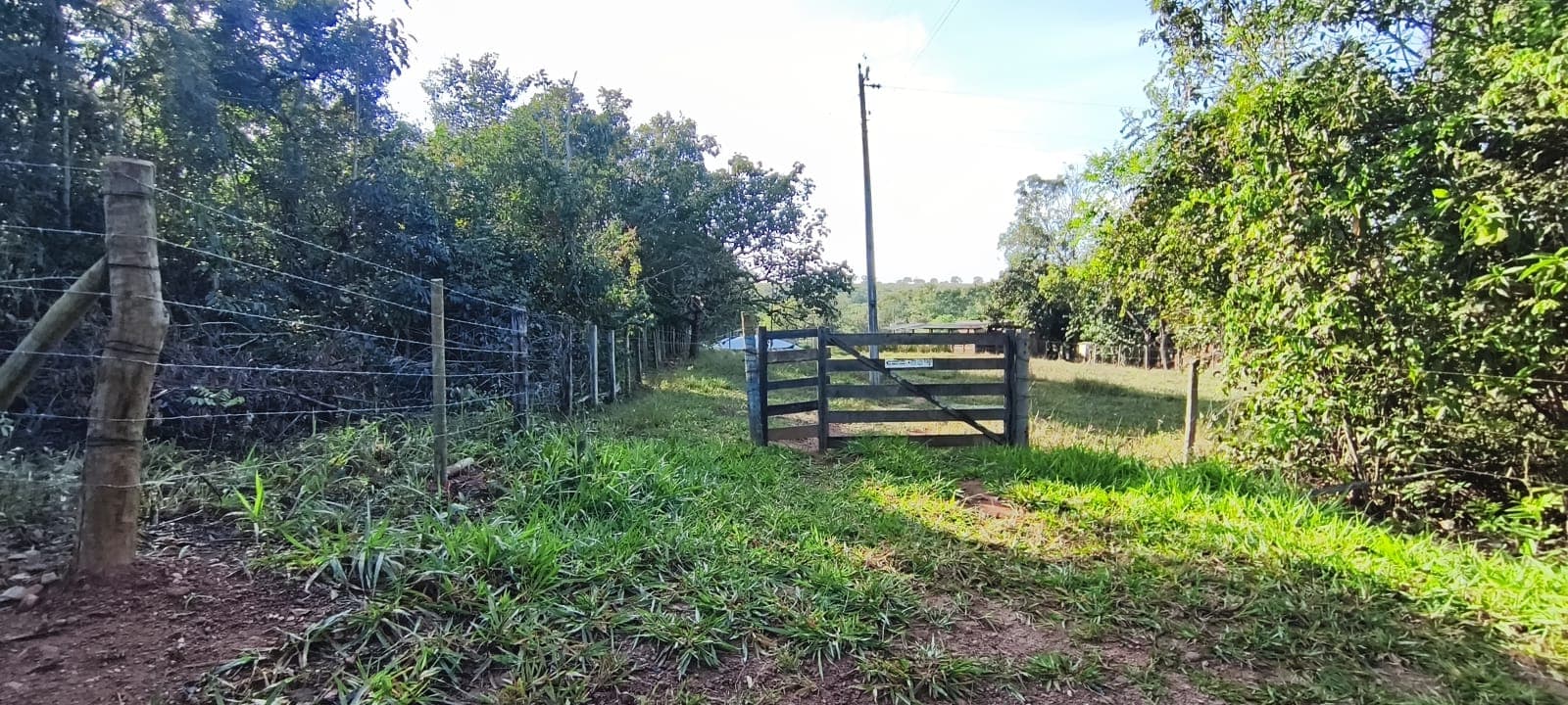 Terreno em Bela Vista de Goiás 22000,00m²