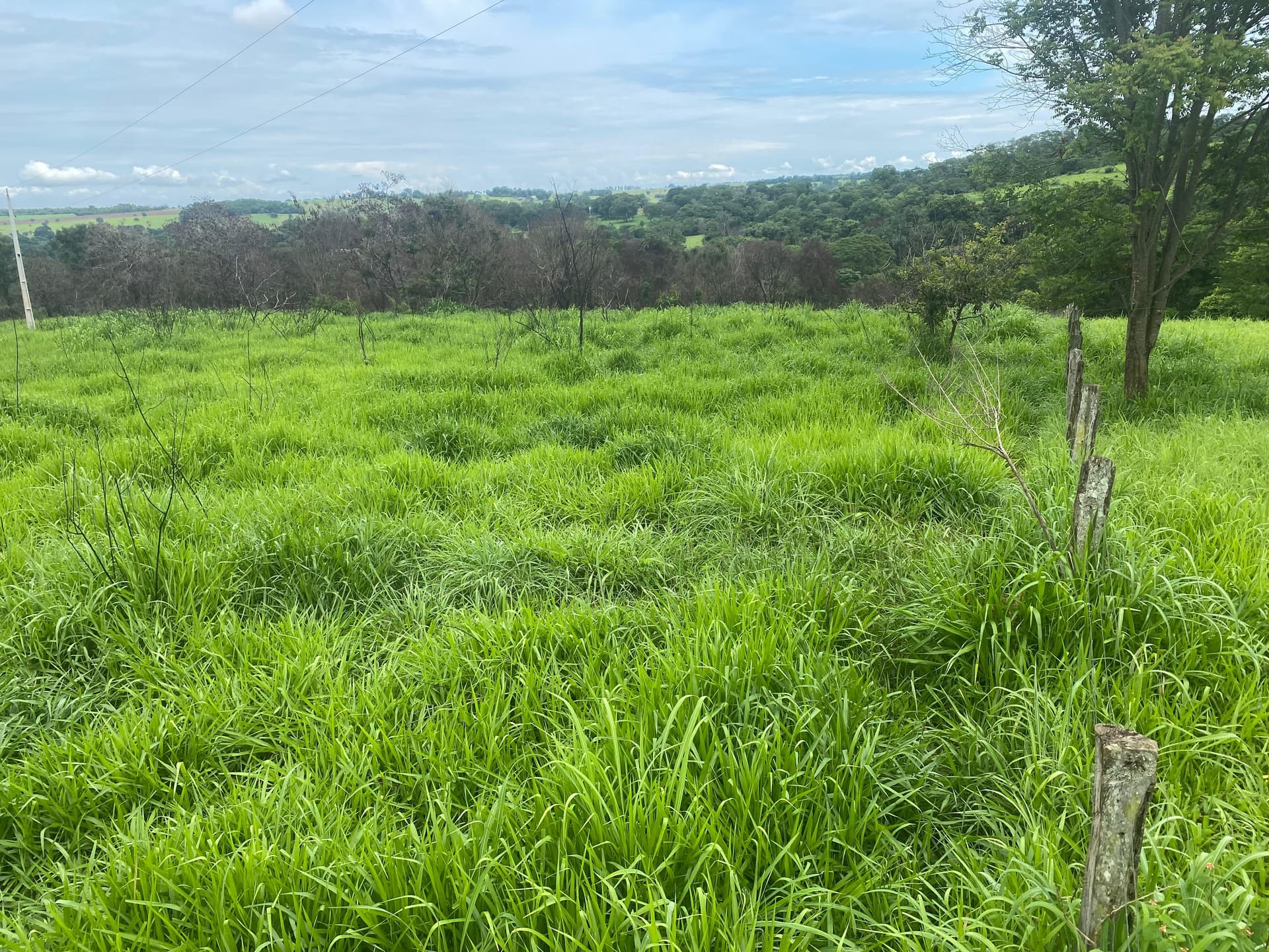 Chácara em Bela Vista de Goiás - 42.000 m²