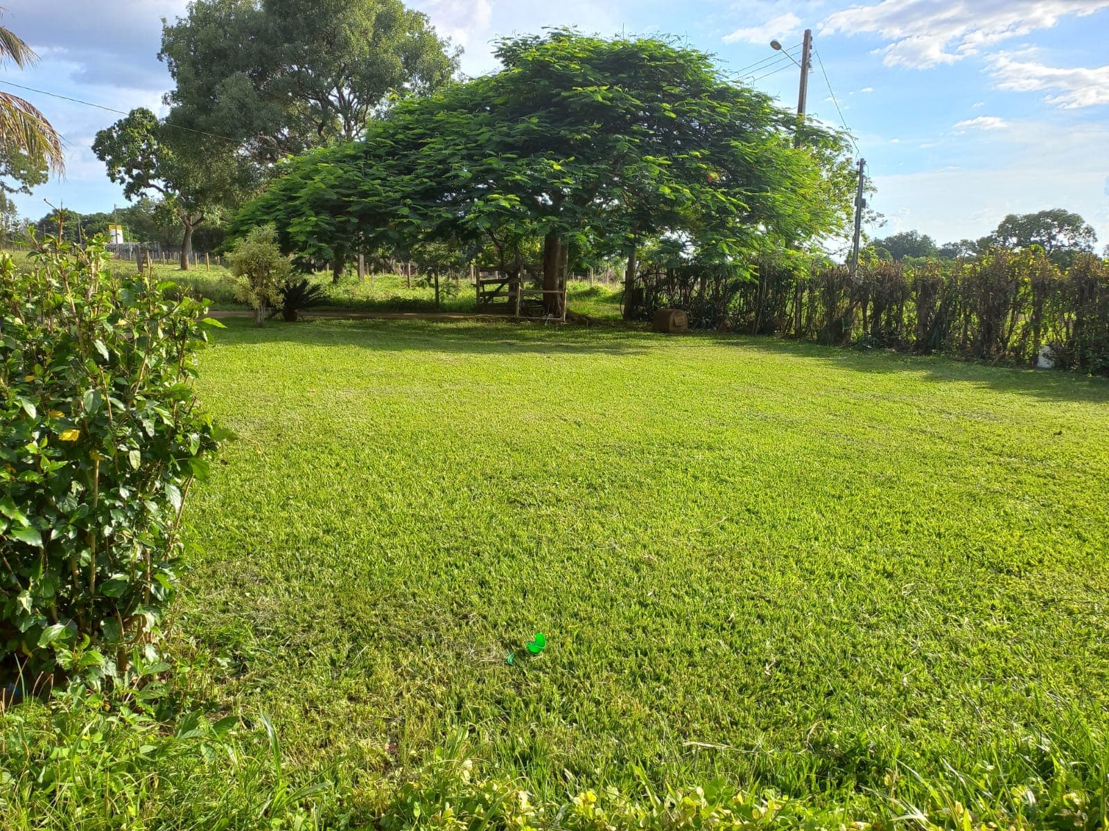 Chácara de vinte e um mil metros em Bela Vista de Goiás saída pra Goiãnia GO-020