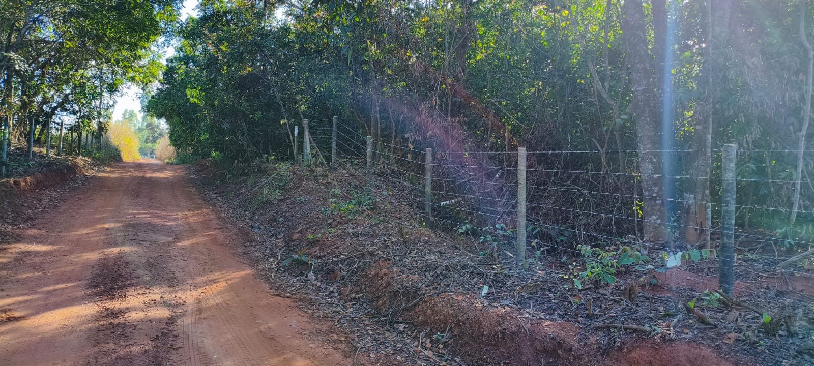 Terreno em Bela Vista de Goiás 22000,00m²