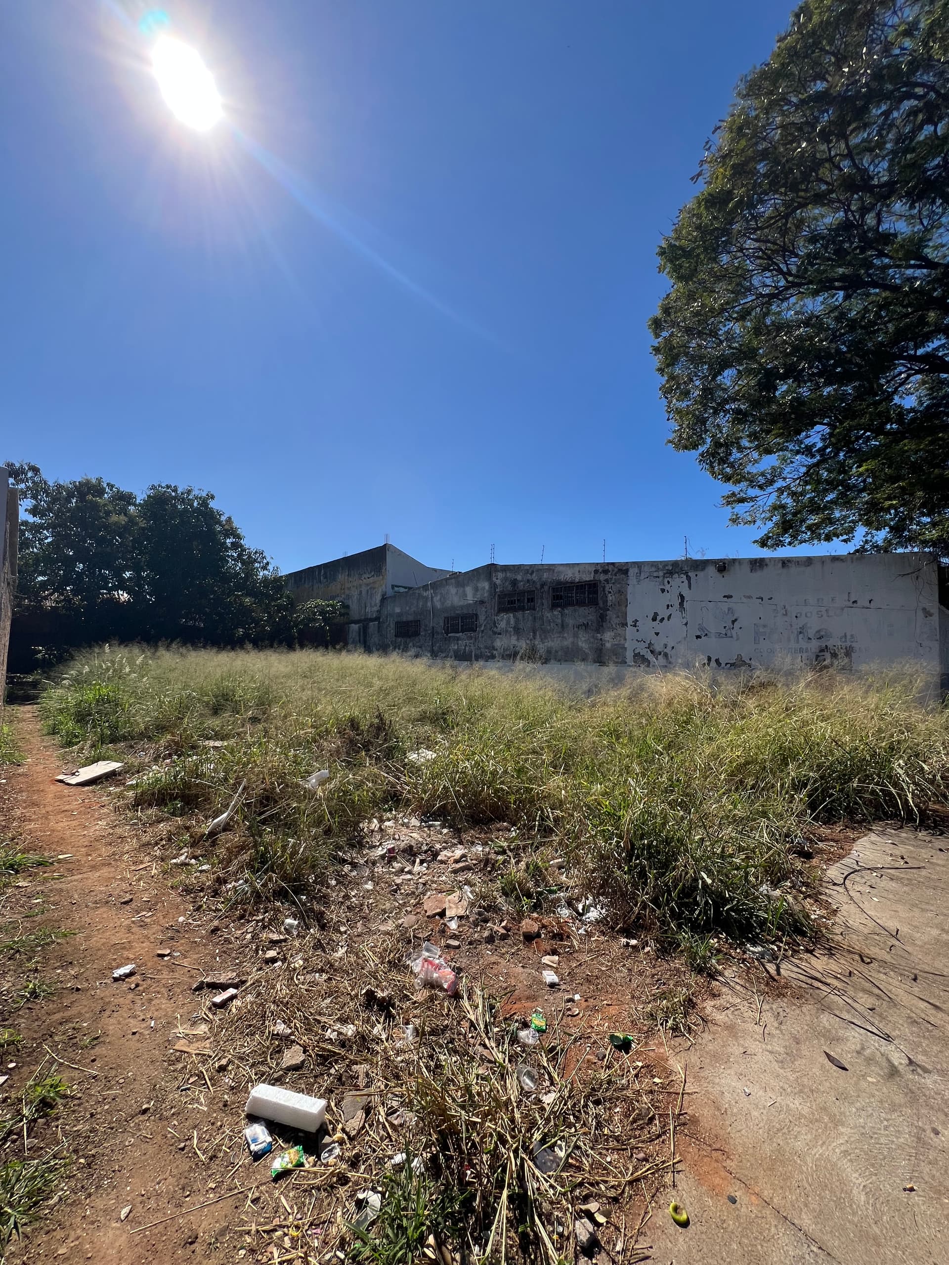 Lote Veiga jardim