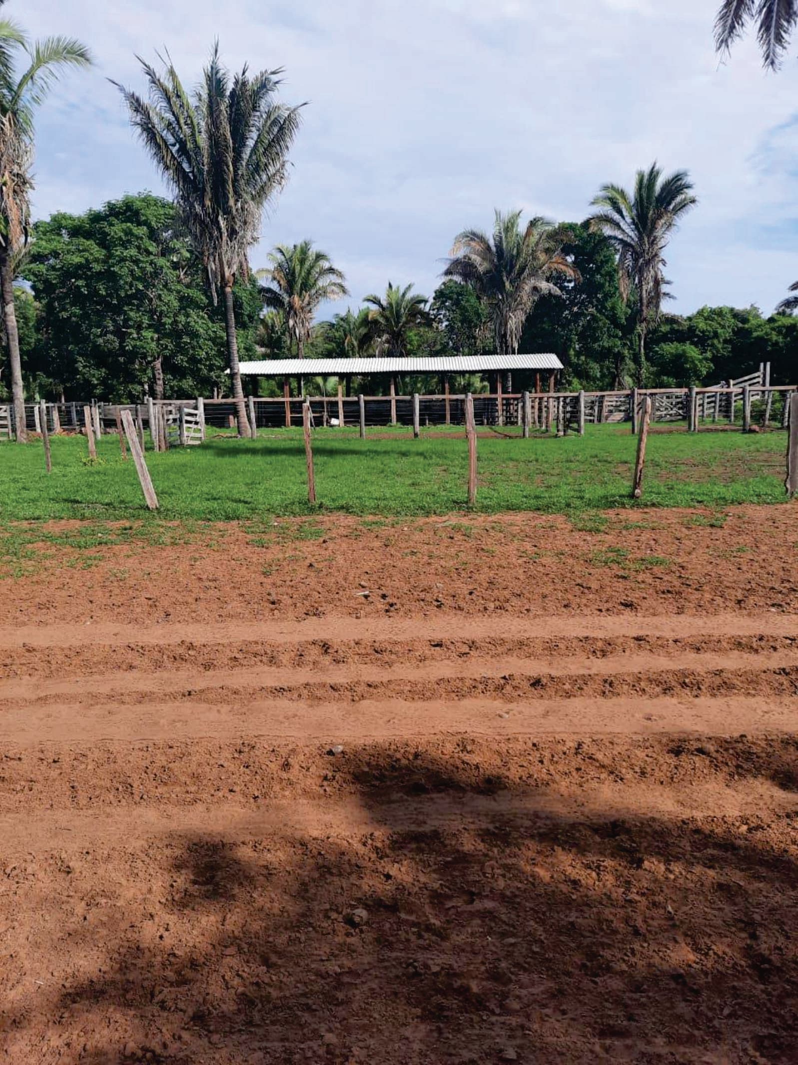 Fazenda rica em lagos com 10.043,14 ha no Mato grosso divisa com Tocantins e Goiás município de Cocalinho
