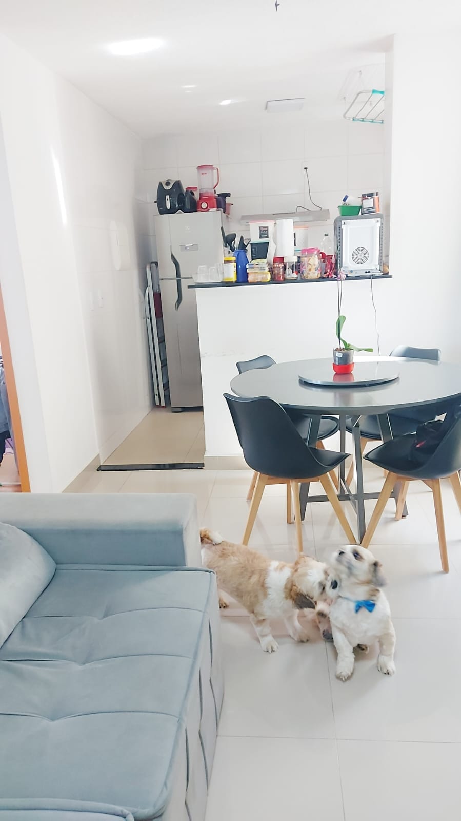 Apartamento Golden Park 53m²