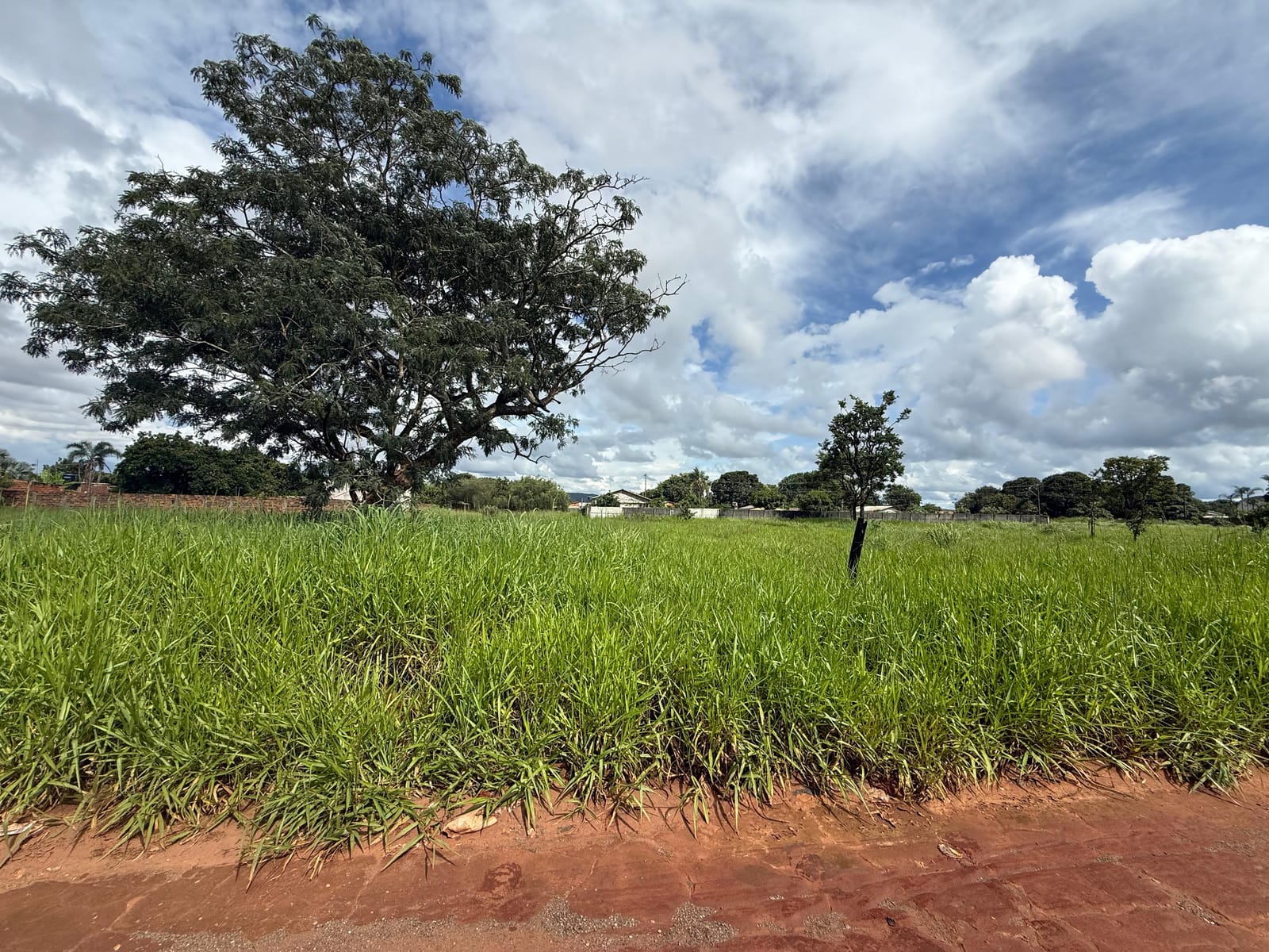 Lote Setor Andreia Madre Germana 3.000 m²