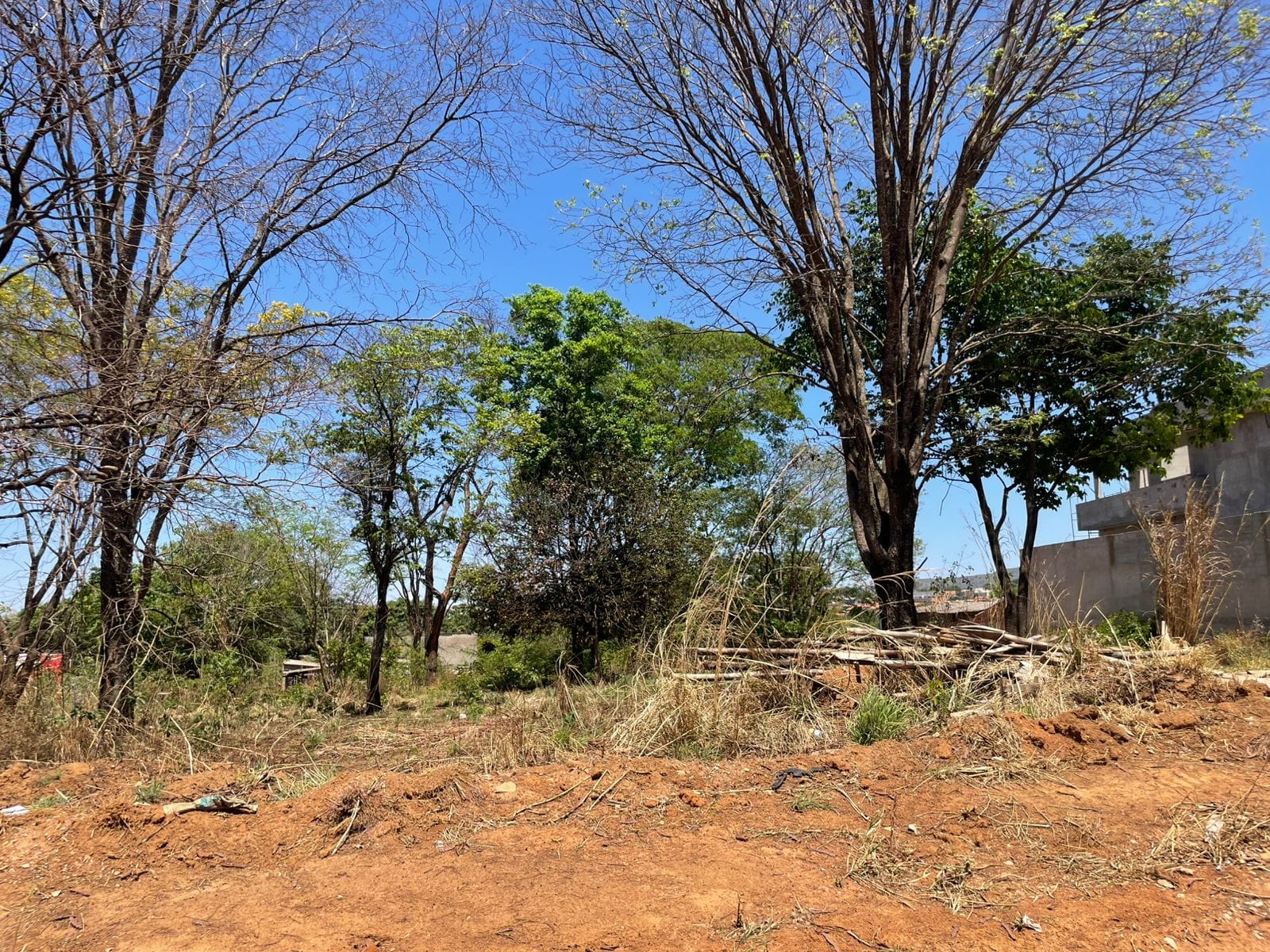 Lote no Buriti Sereno 443m²
