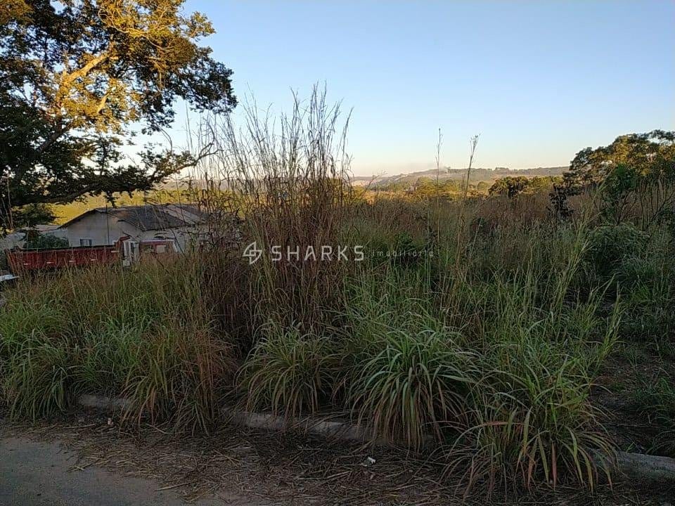 Lote Senador Canedo 420m²