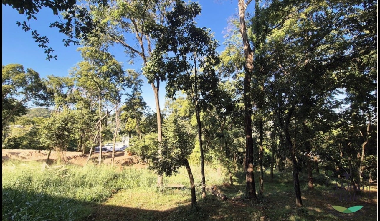 Lote Residencial Aldeia do Vale 3768m²