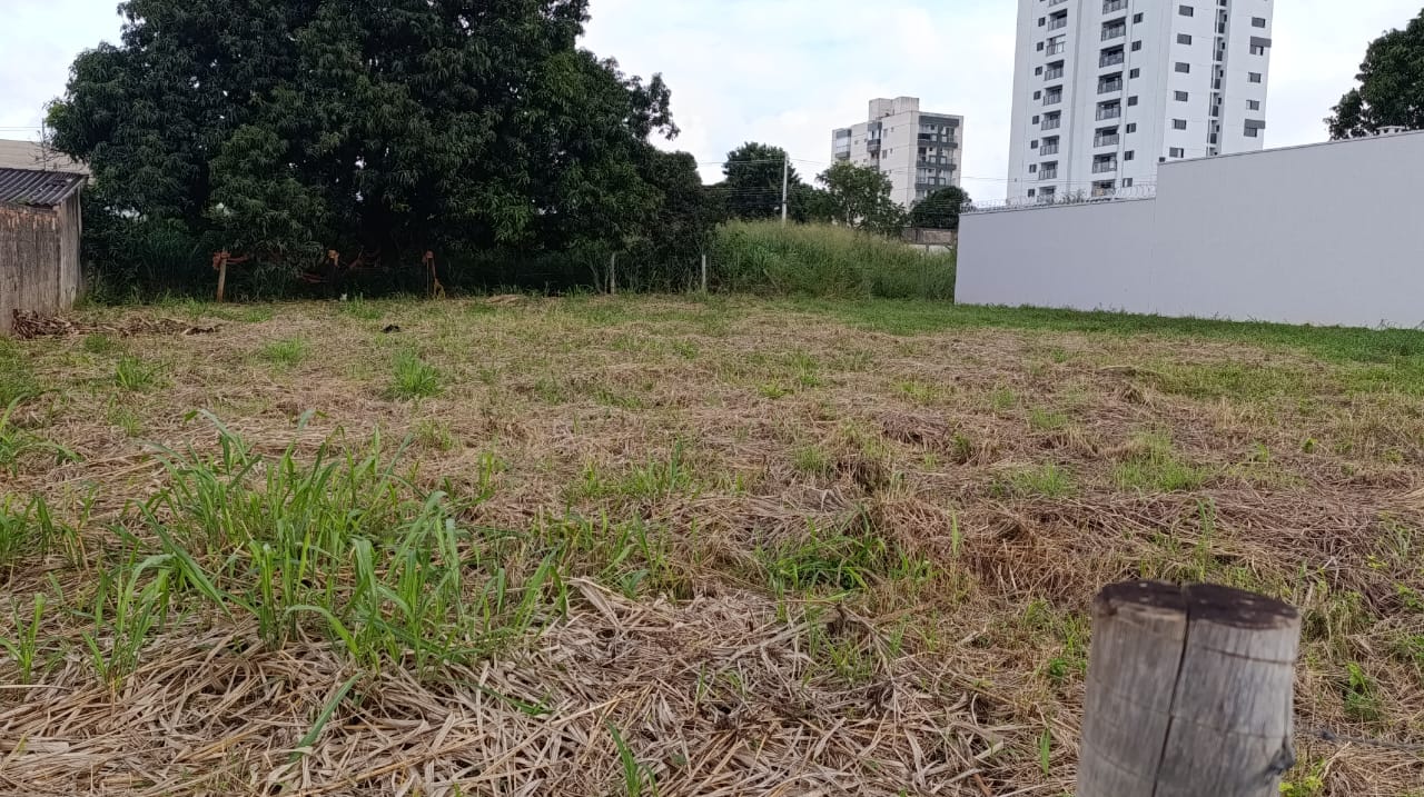 2 Lotes Juntos no Setor Vila Rosa 938m²