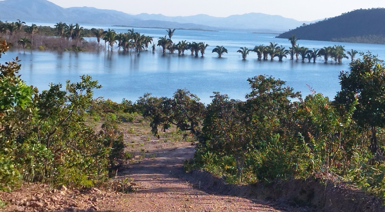 CHACARA SERRA DA MESA