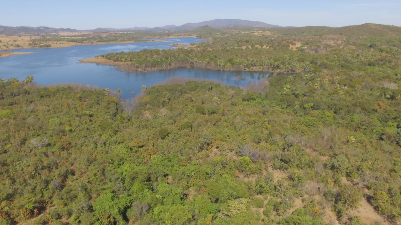 Paraíso à Venda: Fazenda de 27 Alqueires com Extensa Margem no Rio Serra da Mesa.Localizada  em Niquelandia Goiás.