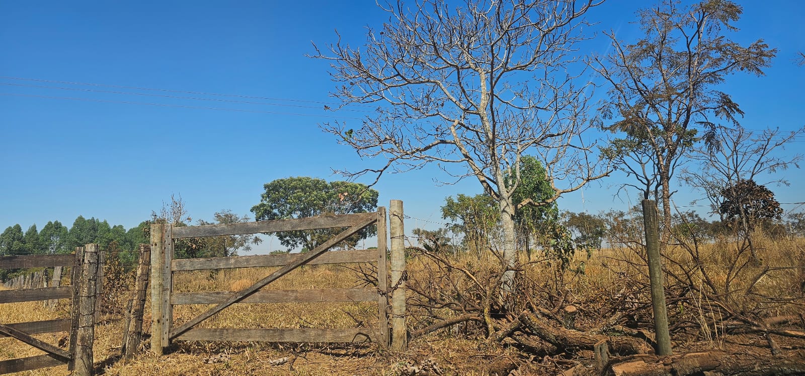 ÁREA RURAL À VENDA | BELA VISTA DE GOIÁS – GO  Fazenda Buritis