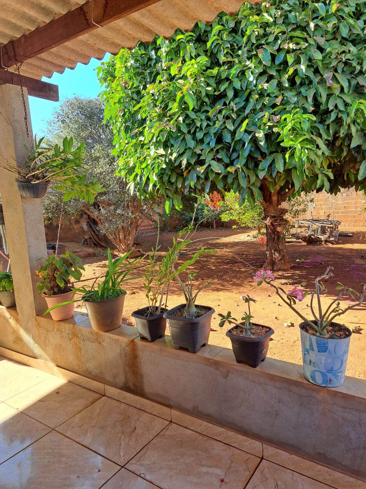 Lote Conjunto Primavera 449m²