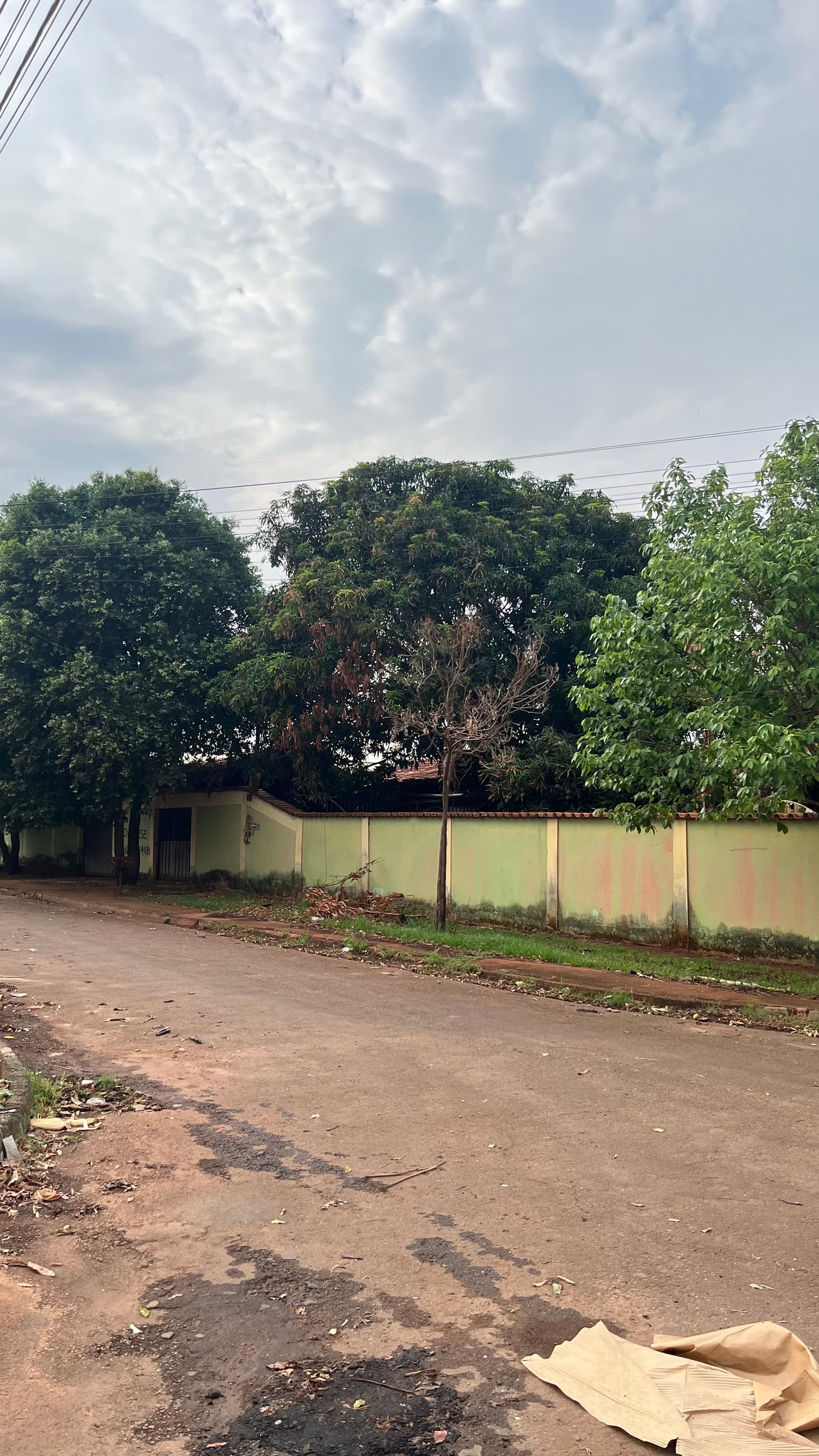 Lote Setor Palmares 12 418m²