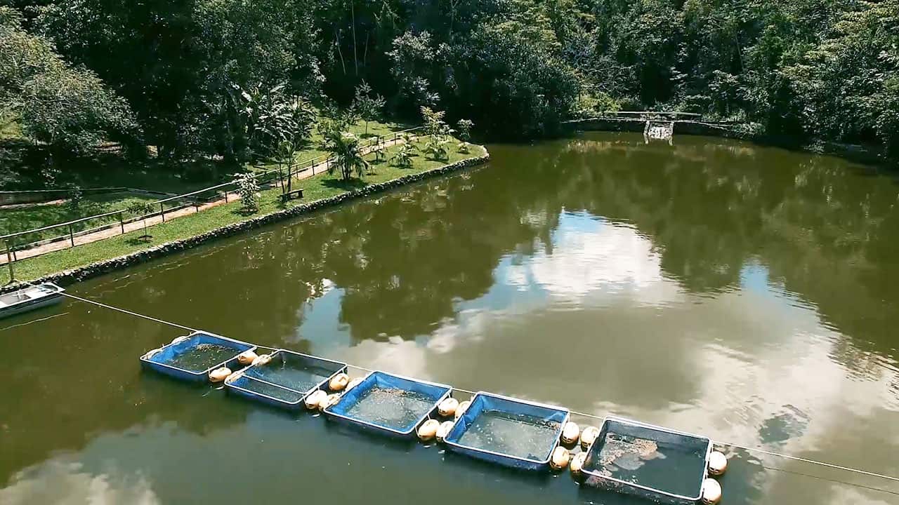 Lote Condomínio do Lago em Goiânia 772m²