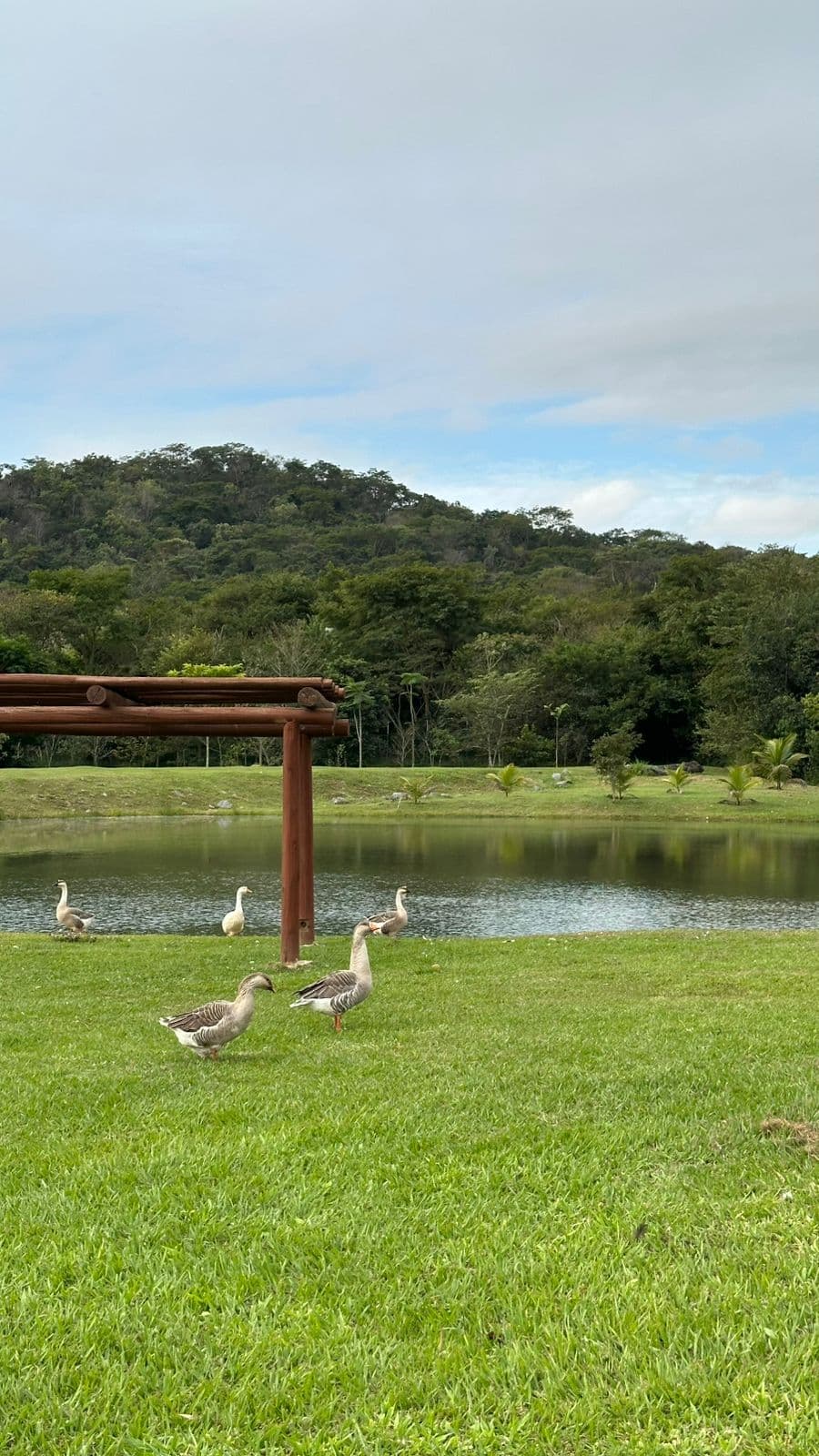 Lote Jardins Porto 322m²