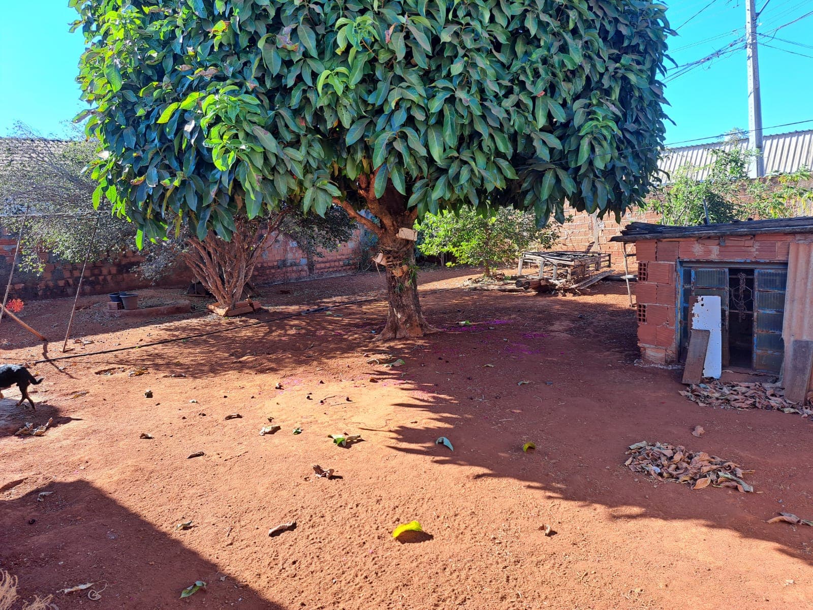 Lote Conjunto Primavera 449m²