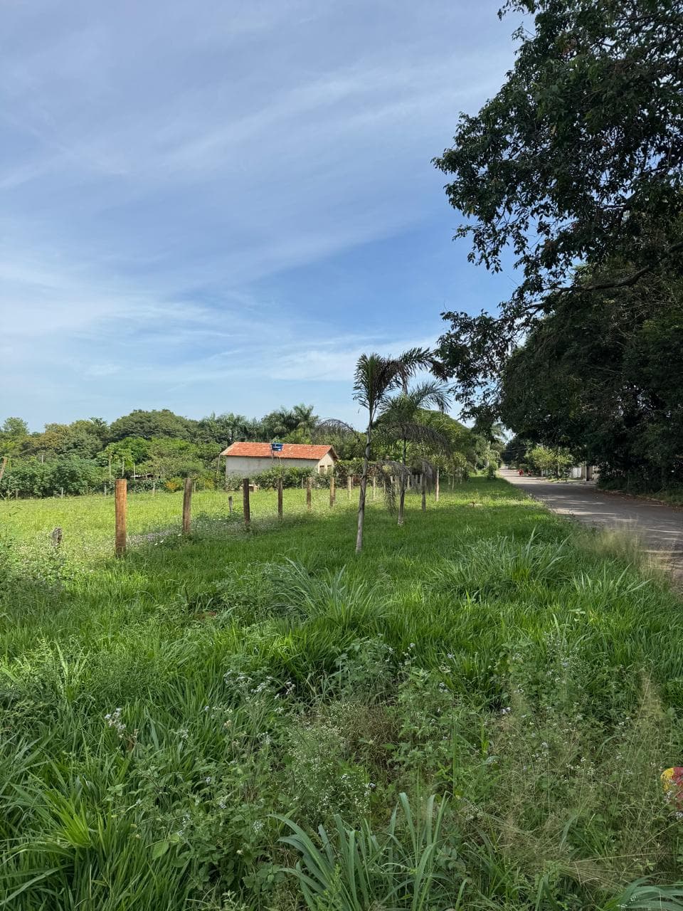 Área Estrela do Oriente 583m²