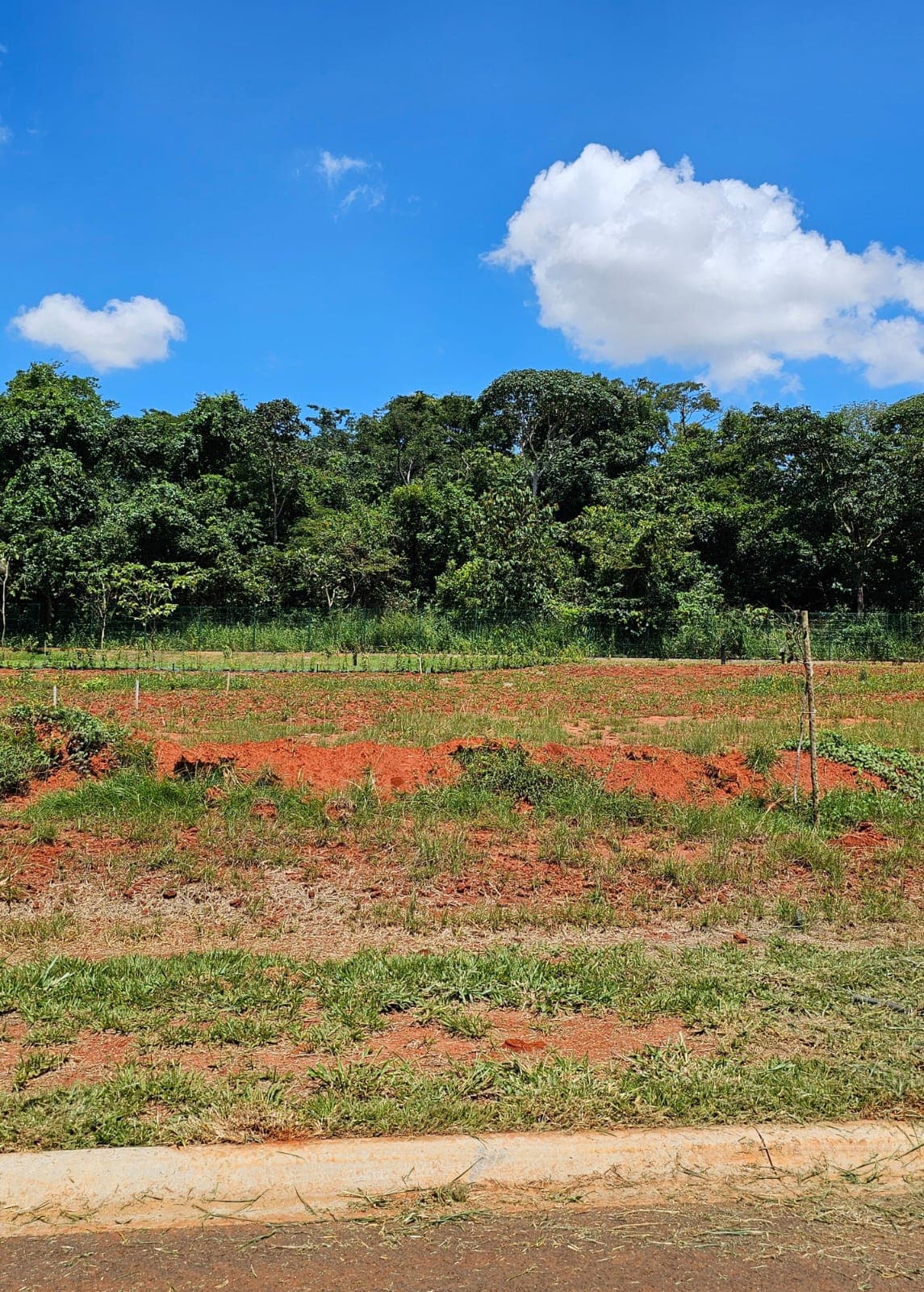 Lote Fundo Mata Cond. Plateau Dor Unique 589m²