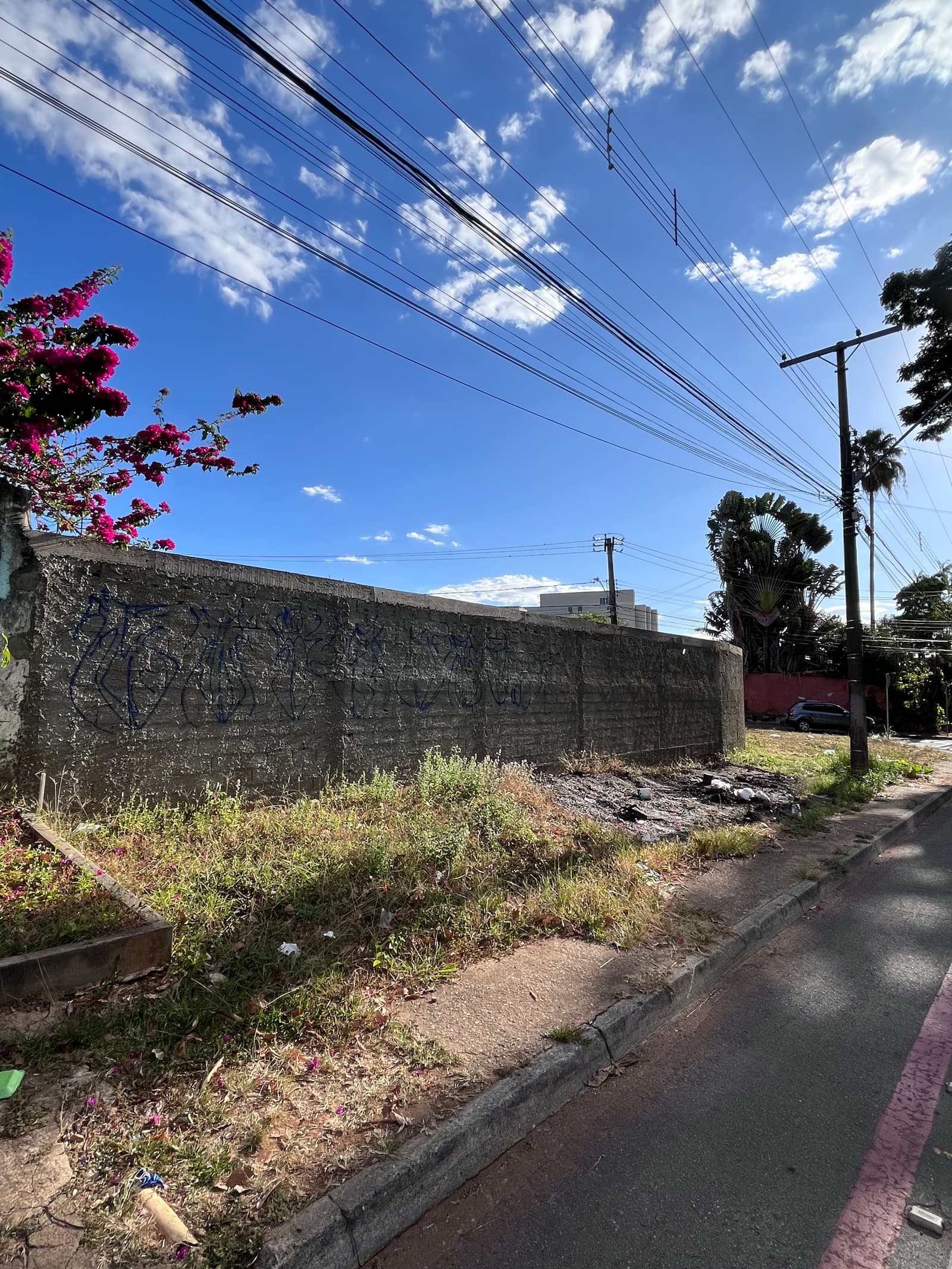 Lote Jardim America 675m²