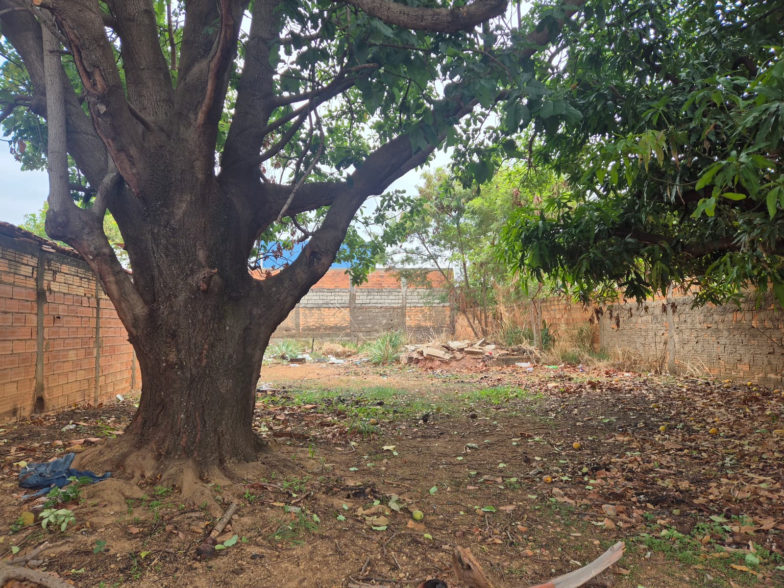 Lote Jardim Ipiranga 373m²