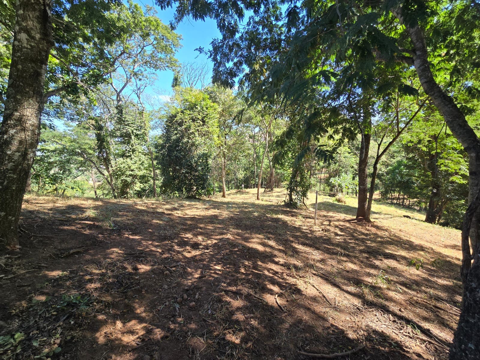 Lote no Aldeia do Vale 4.253m²