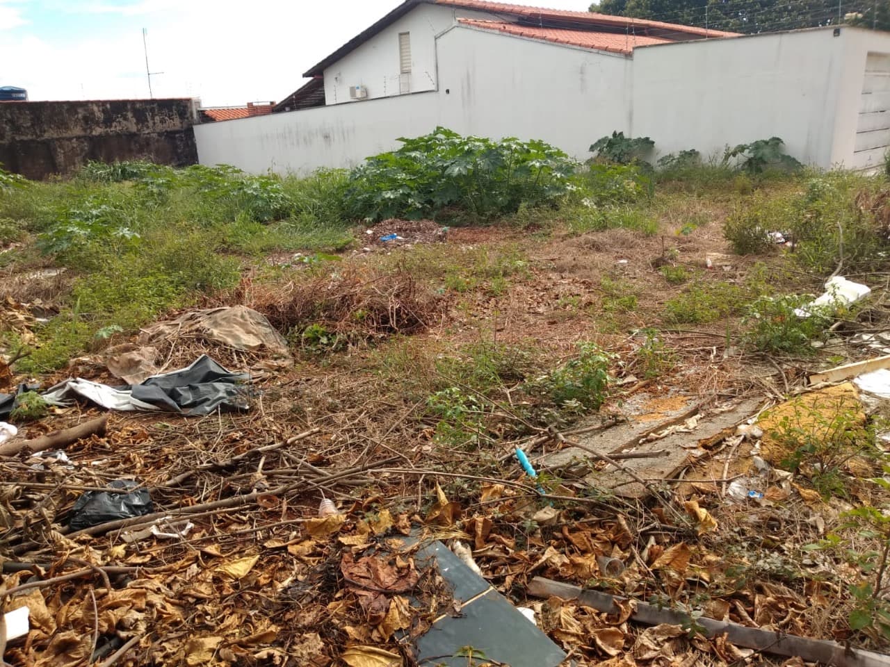 Lote Setor dos Afonsos - 453m²