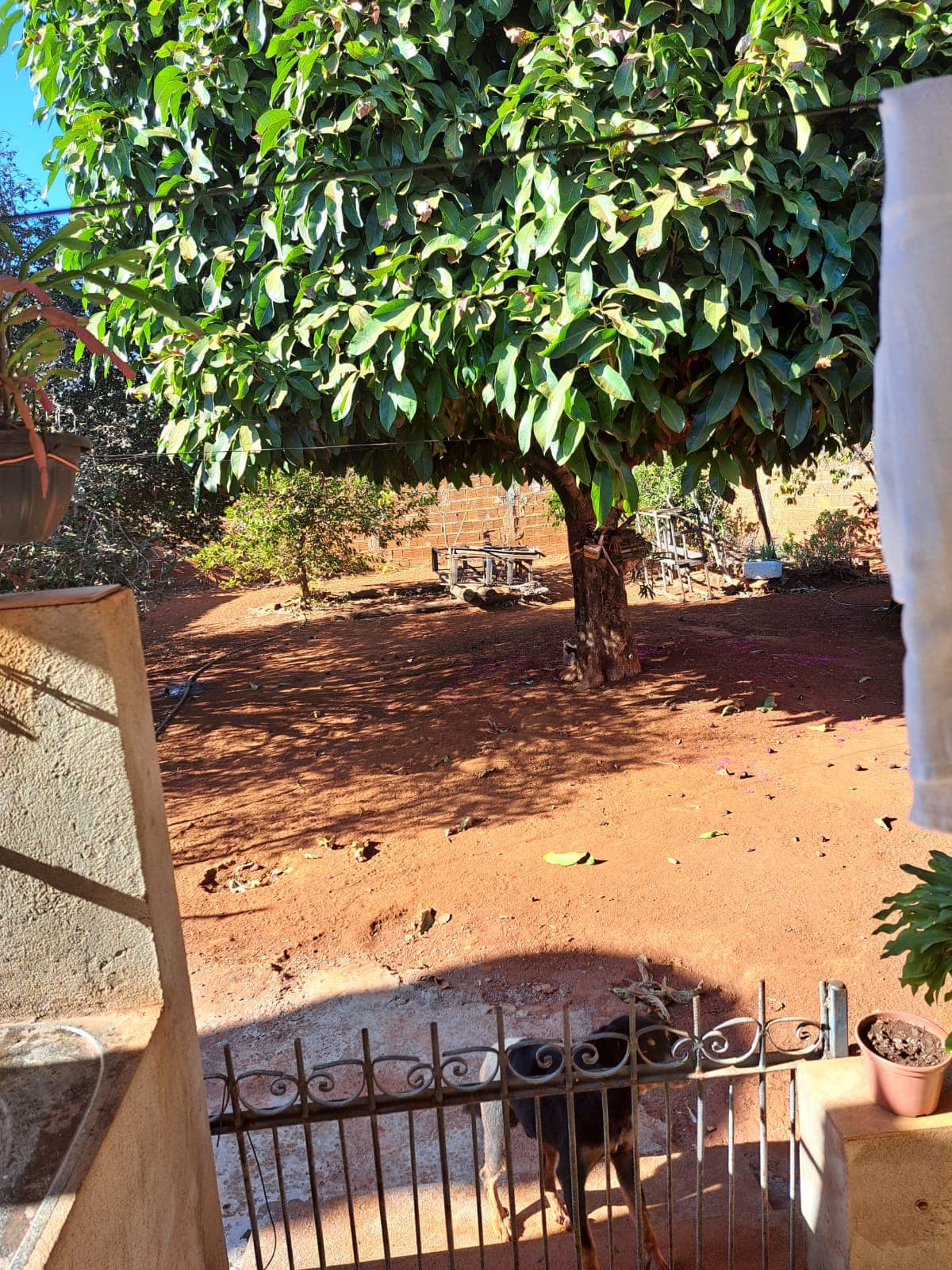 Lote Conjunto Primavera 449m²