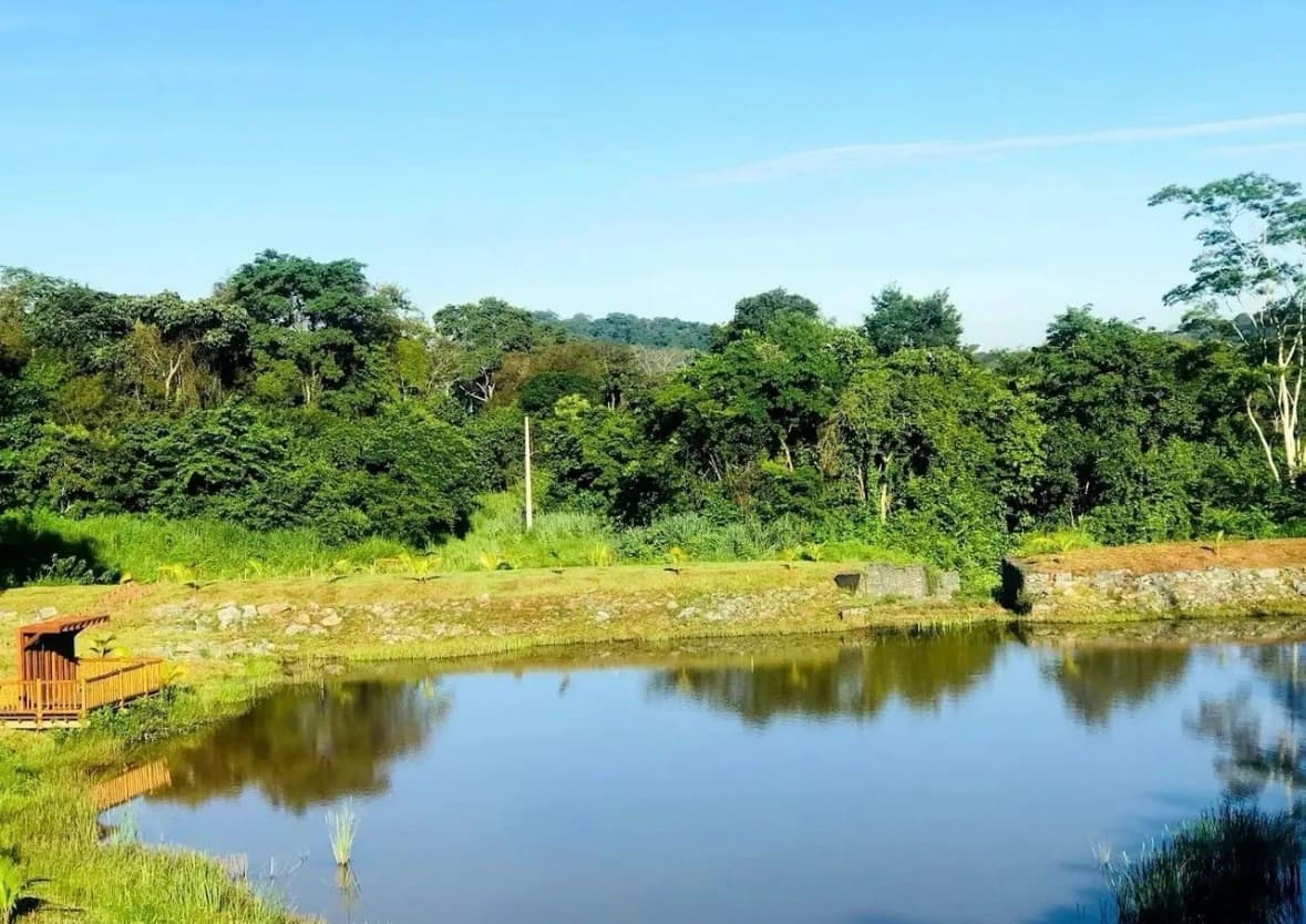 Lote Jardins Barcelona 300M²