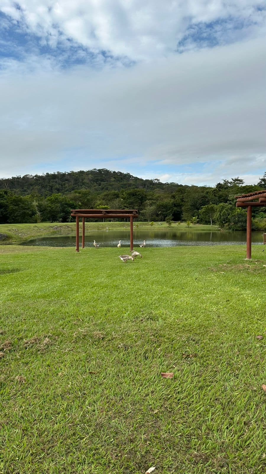 Lote Jardins Porto 322m²