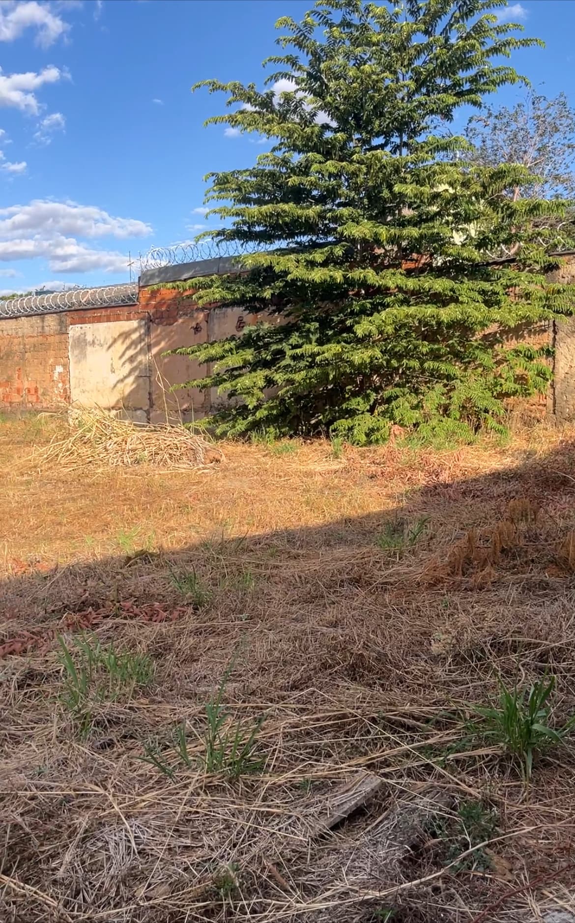 Lote Jardim America 675m²