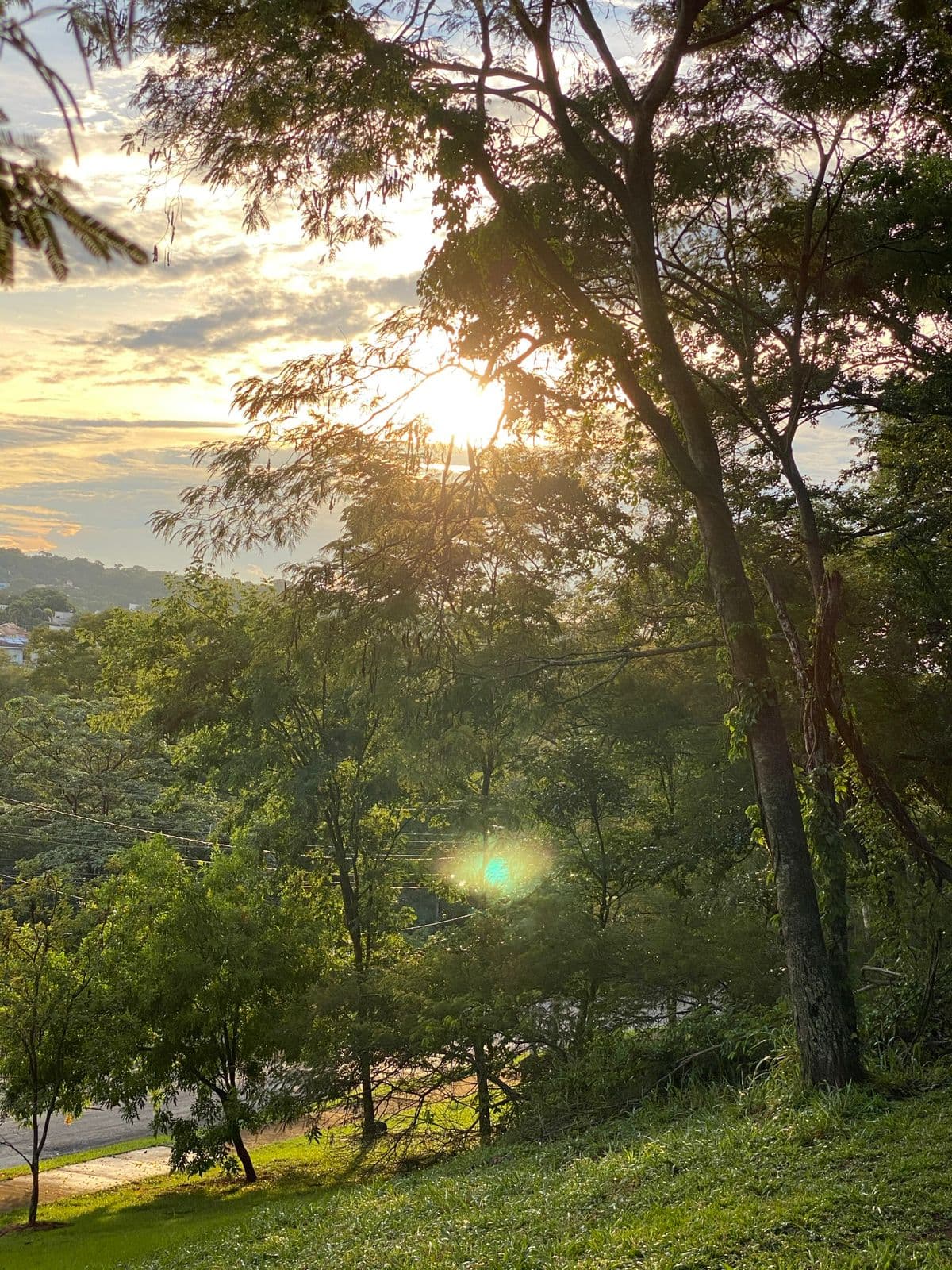 Lote Aldeia do Vale 2.030m²