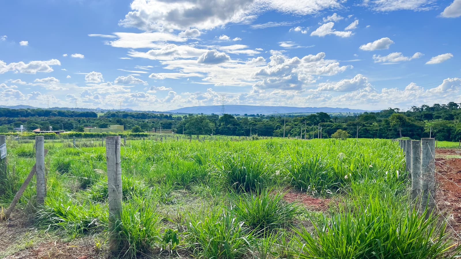 Chácara Terra Santa Canaã 1.520 m²